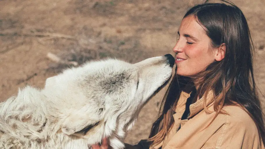 Bailando con lobos