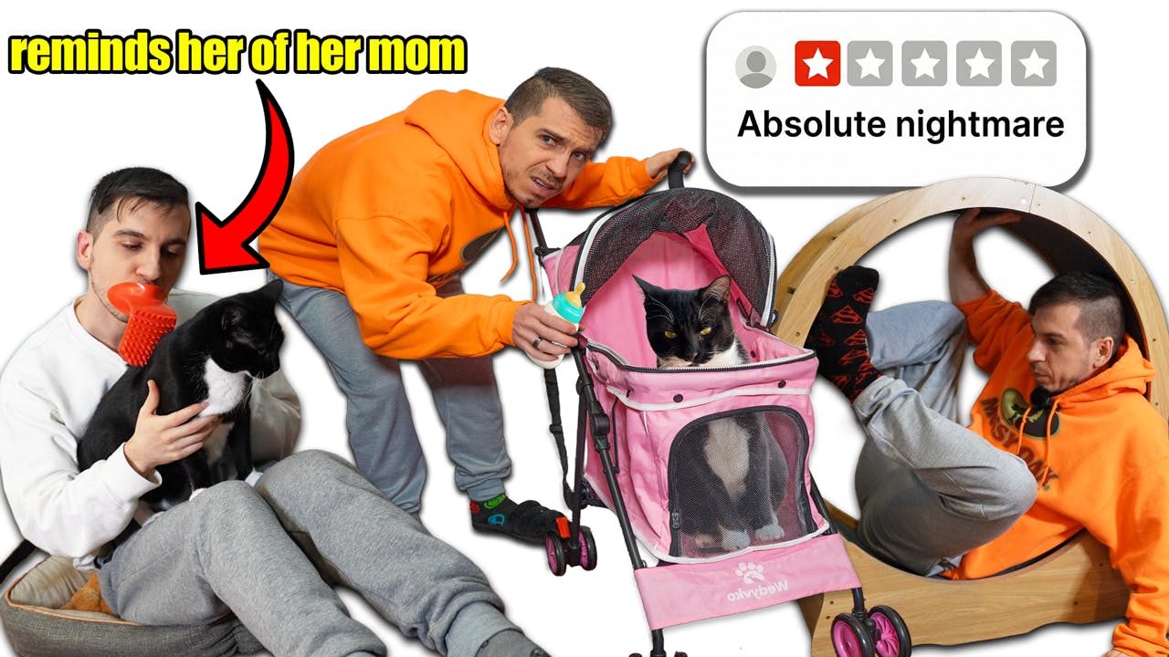 I Bought Traumatizing Cat Products From Temu I Bought Traumatizing Cat Products From Temu