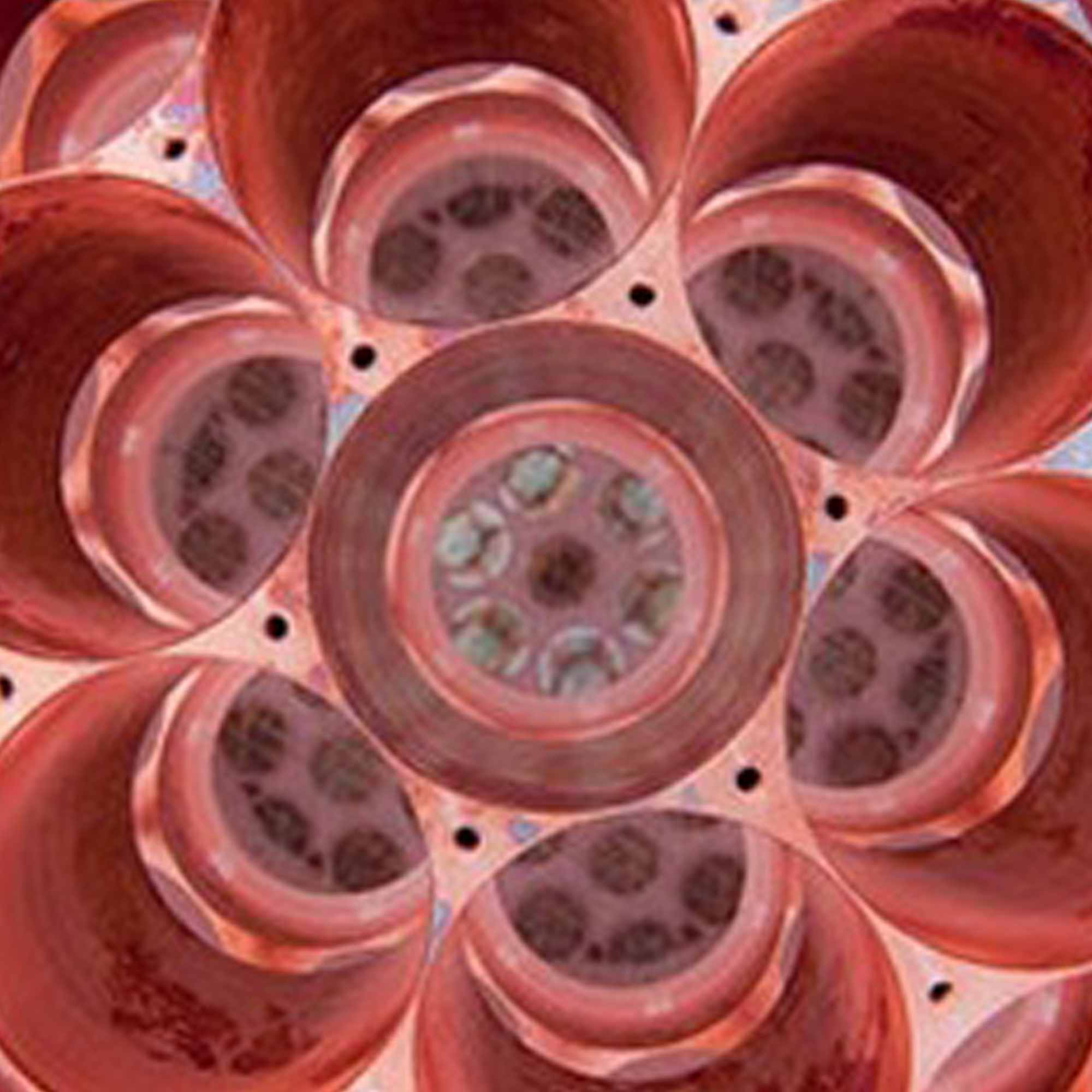 Thumbnail for "Dark Matter".