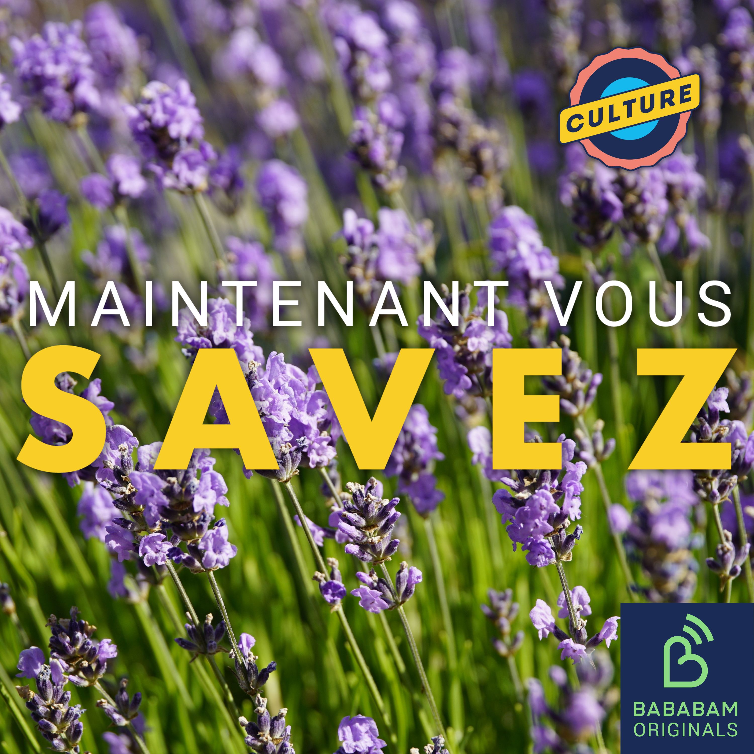 Qu’est-ce que le "mariage lavande", qui révolutionne nos relations ?