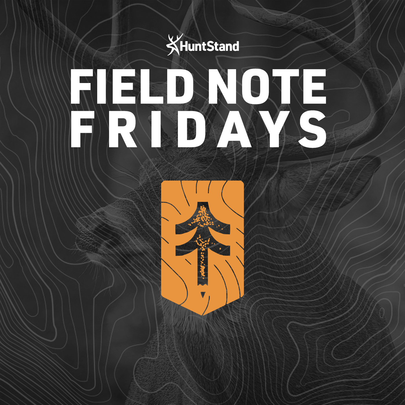 #034 - Field Note Friday - Senses Of A Whitetail Deer PART 2