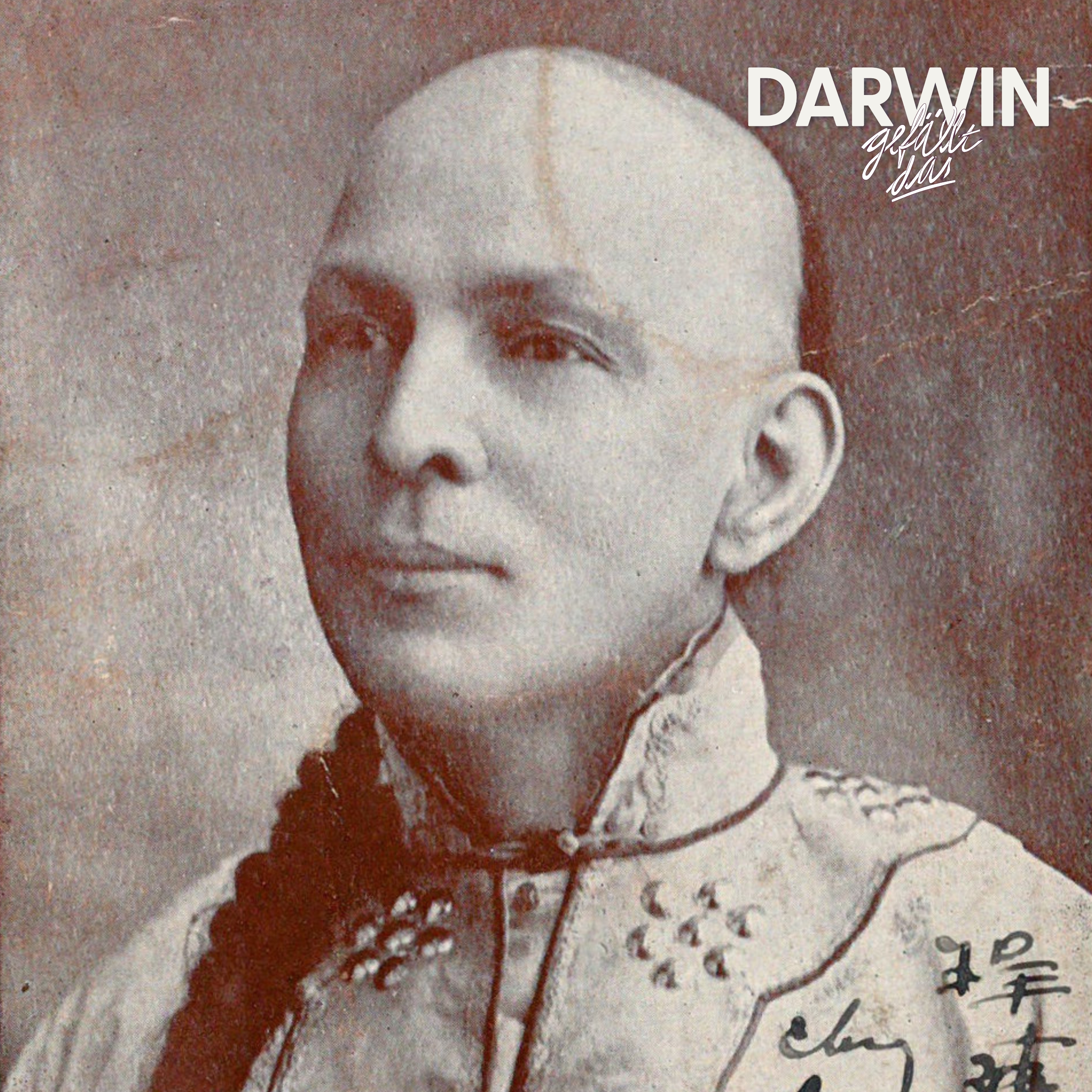 Wer stiehlt mir die Show?