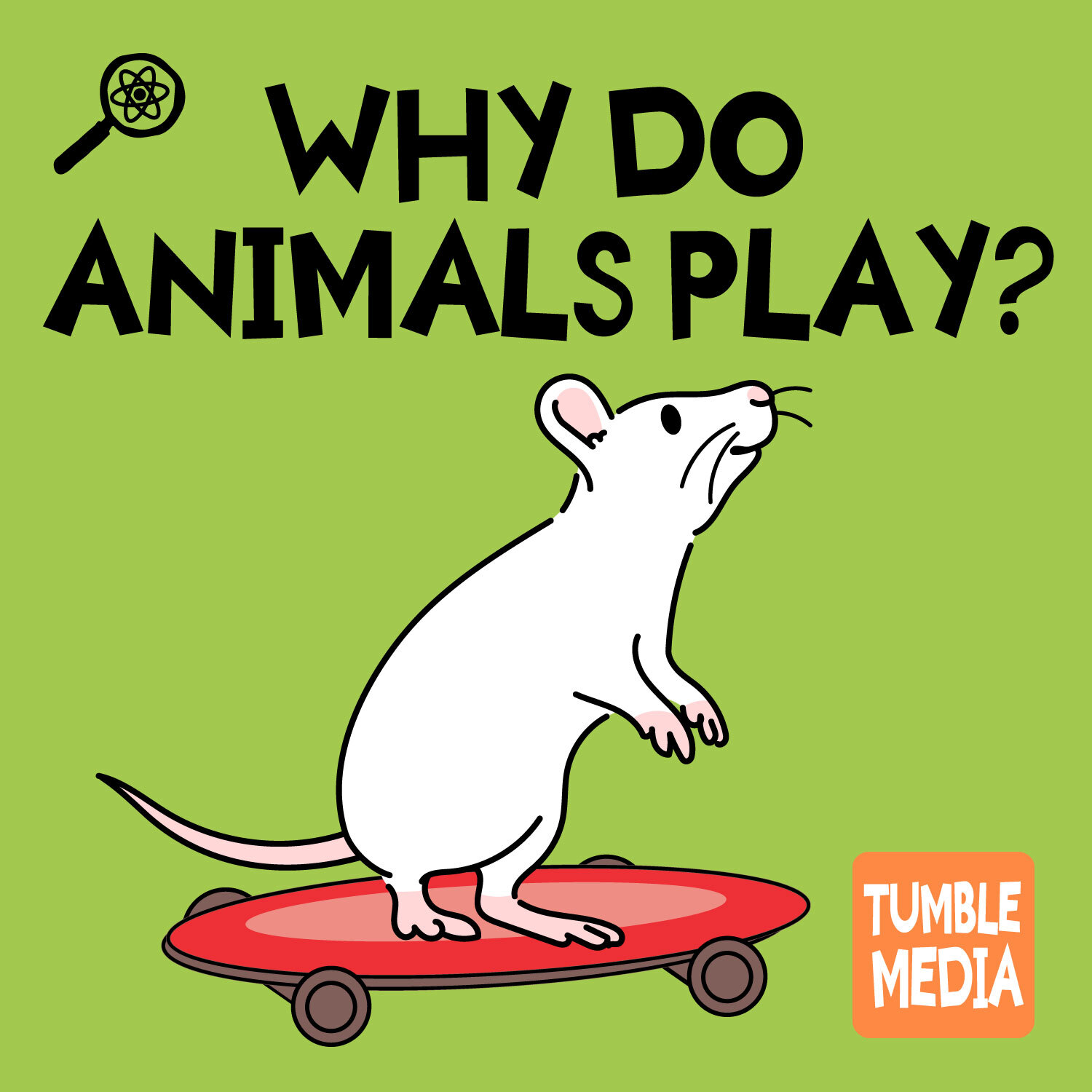 Why Do Animals Play?