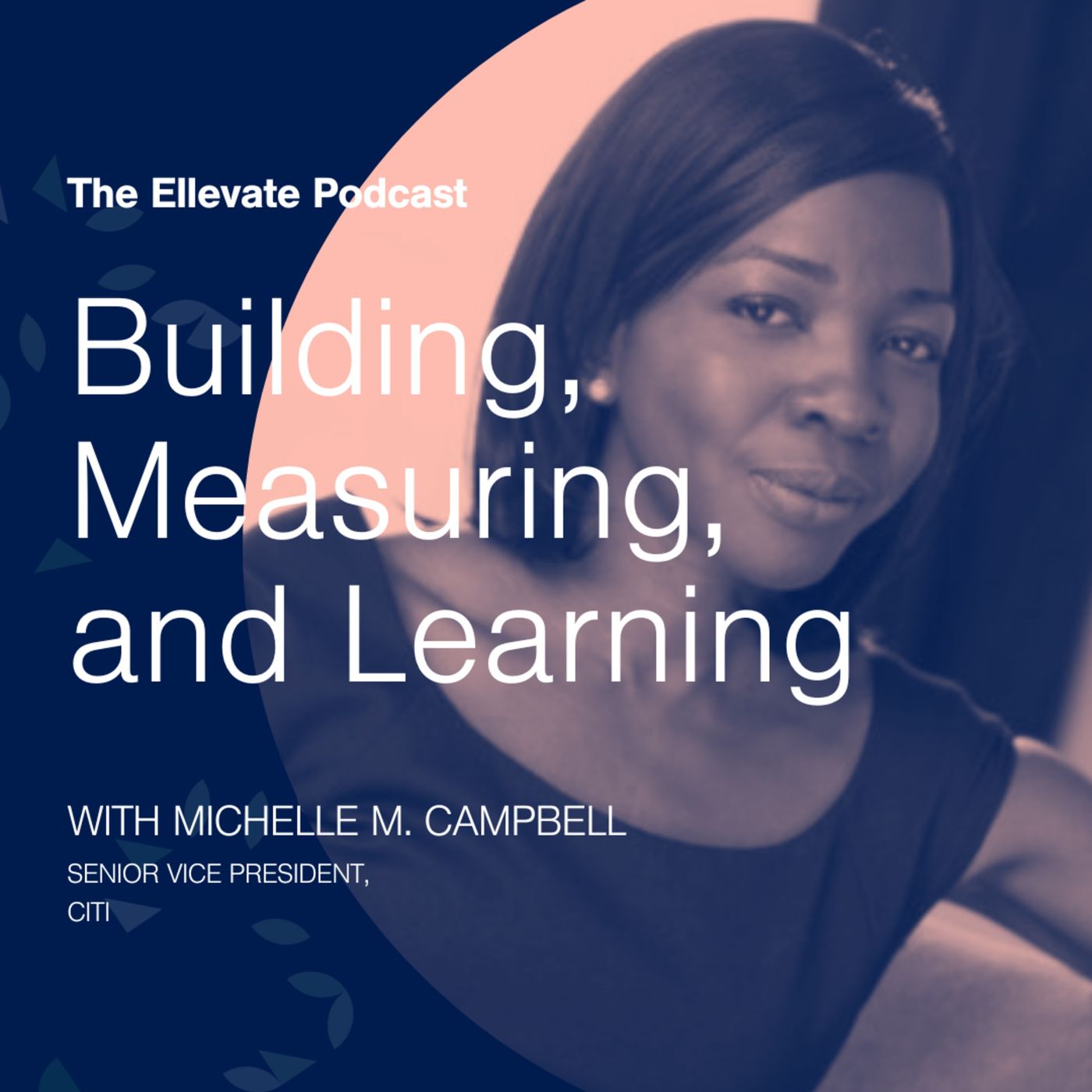 Episode 316: Building, Measuring, and Learning, with Michelle M. Campbell episode artwork