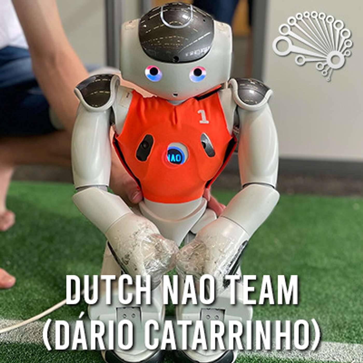 734: Humanoid Robot Soccer, with the Dutch RoboCup Team