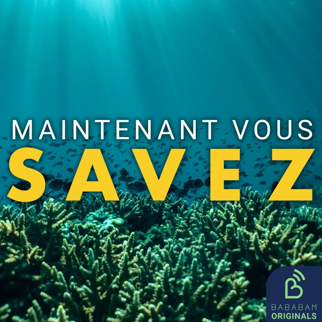 Quel est l’impact du réchauffement des océans ? 