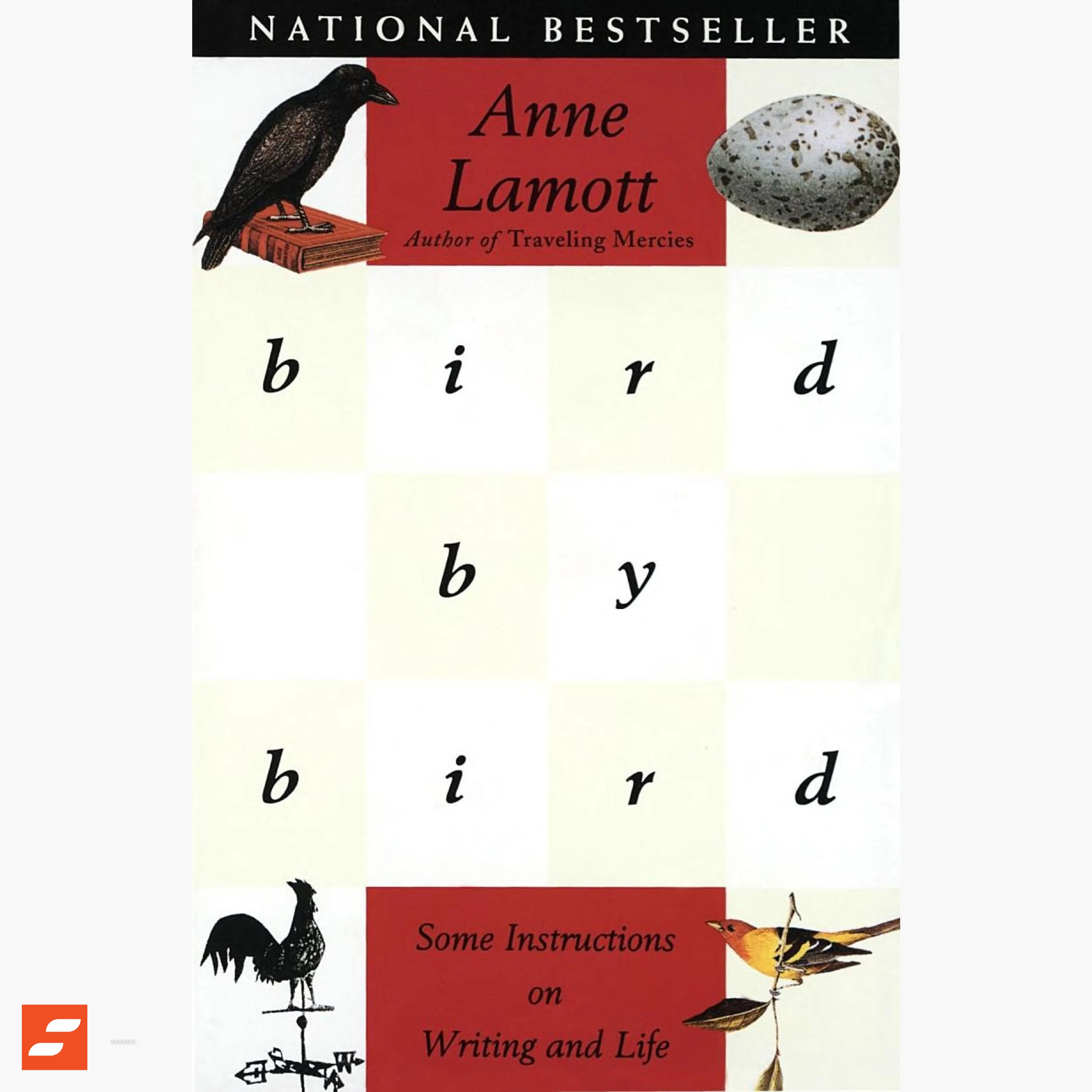 Scrivi ancora meglio Riassunto | Anne Lamott