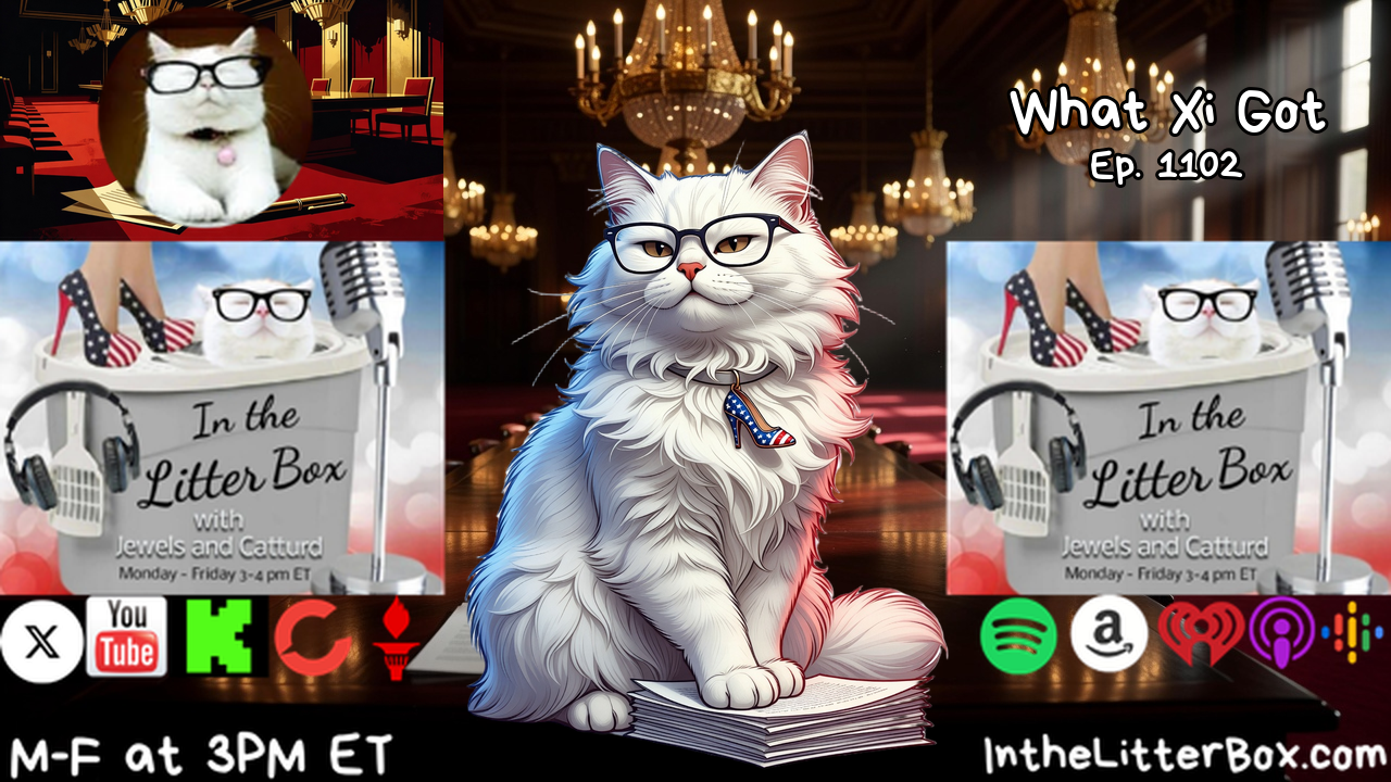 WHAT XI GOT | In the Litter Box w/ Jewels & Catturd – Ep. 1102 – 9/25/2026