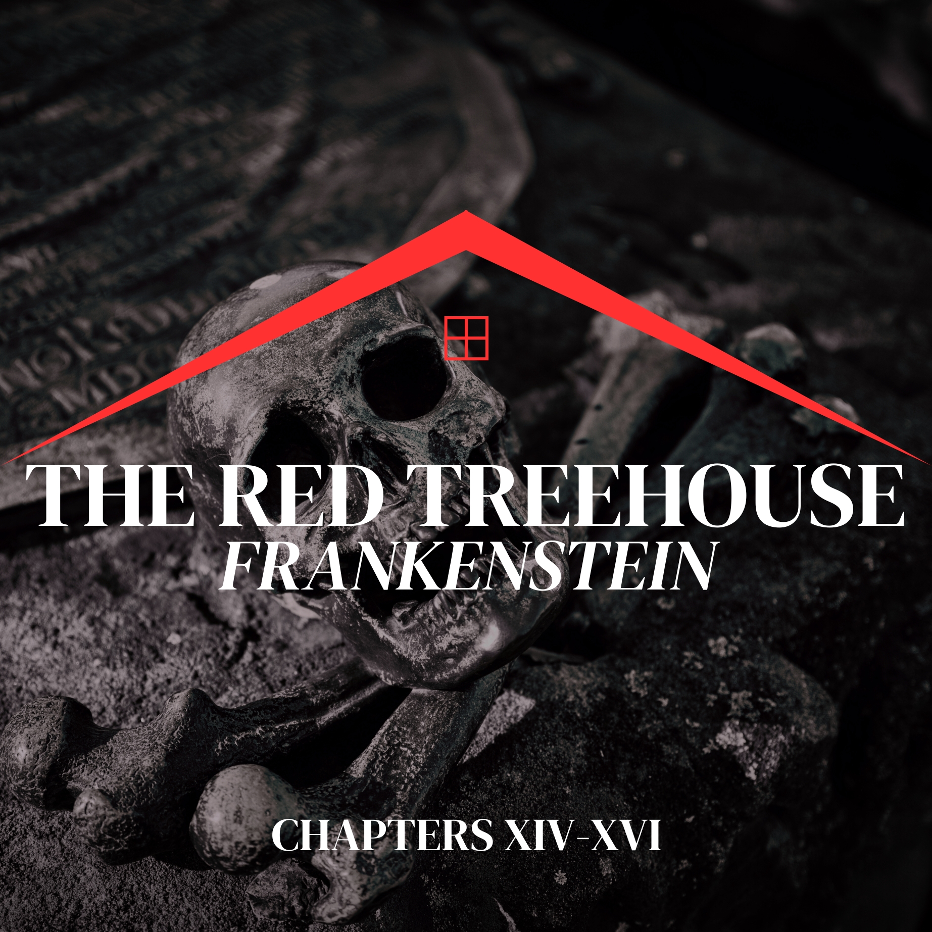 185: Frankenstein (Chapters XIV-XVI)