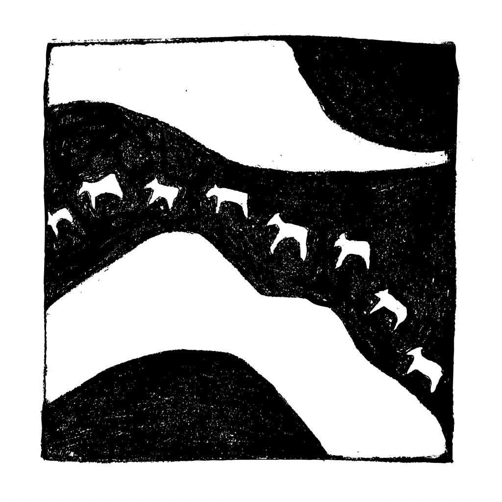 Bears, Birds, and Bones