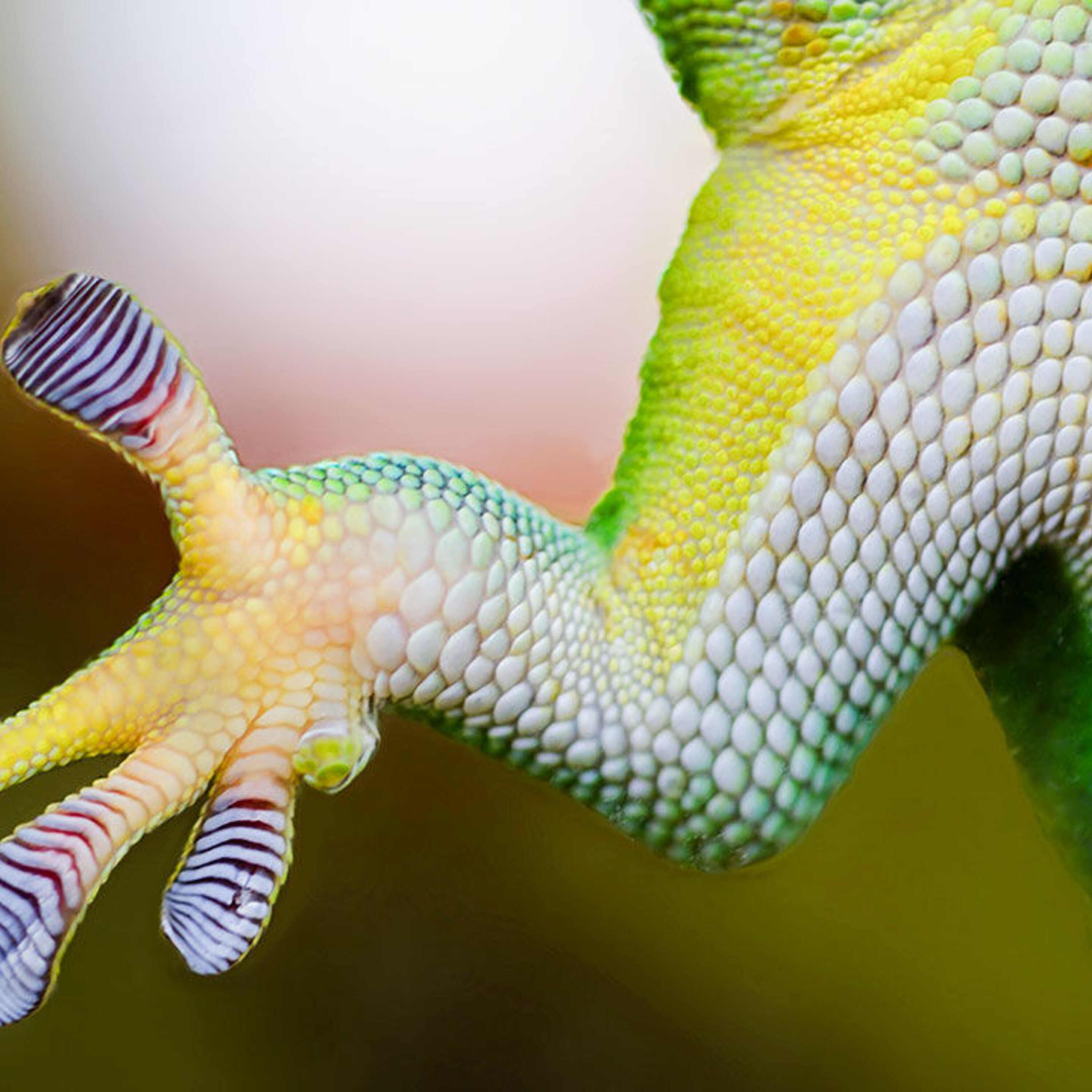 Preventing augmented-reality overload, fixing bone with tiny bubbles, and studying human migrations