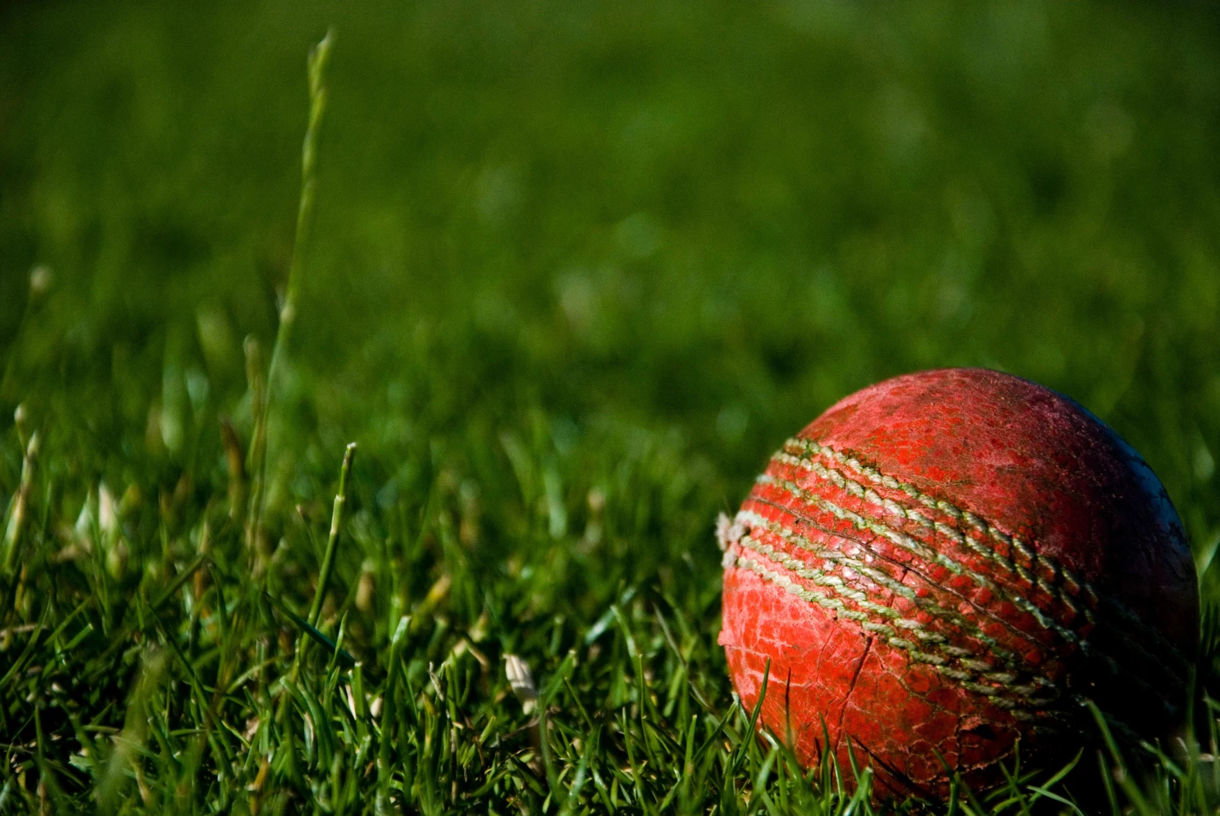 Cricket Makes Its Way To The Central Valley