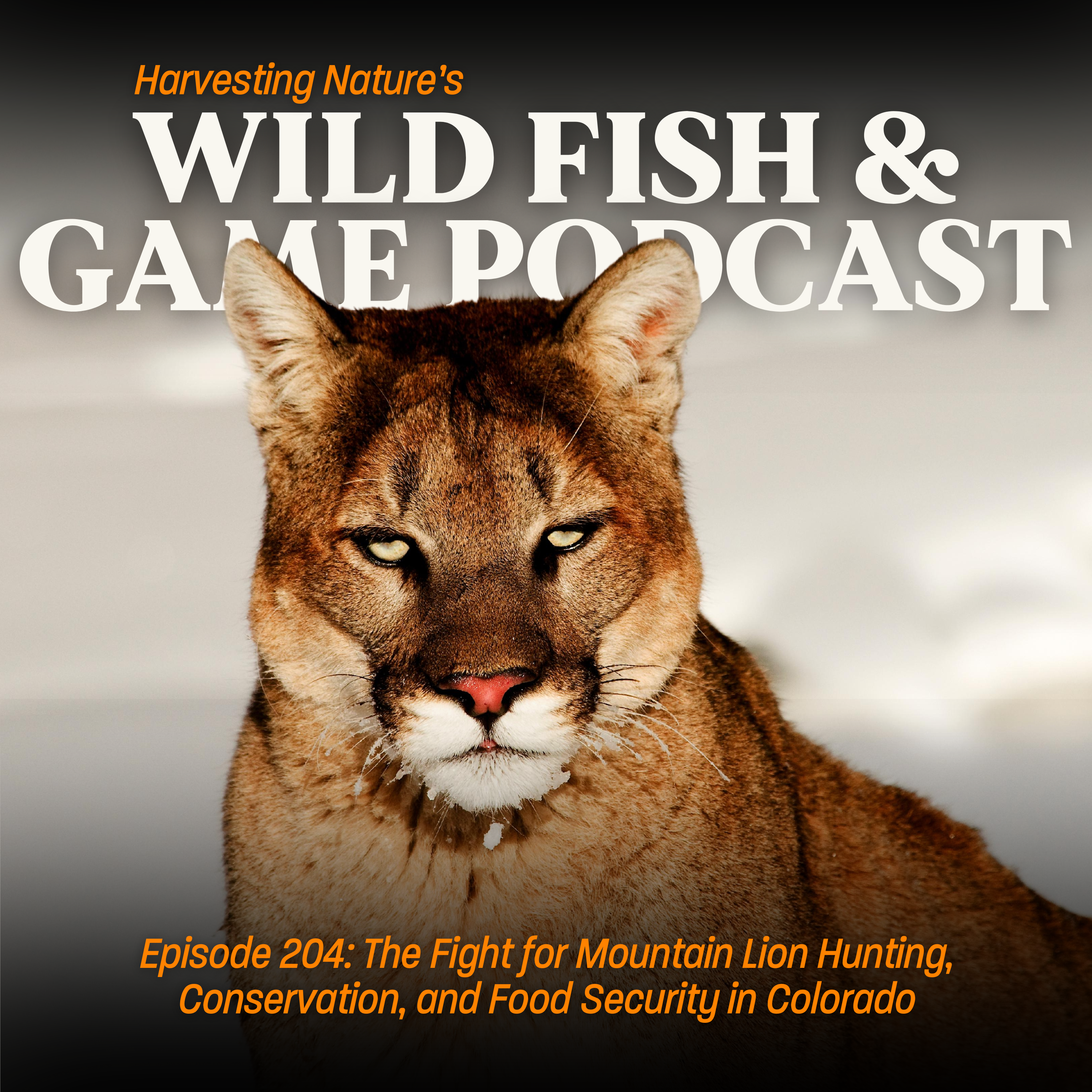 Wild Fish and Game Podcast