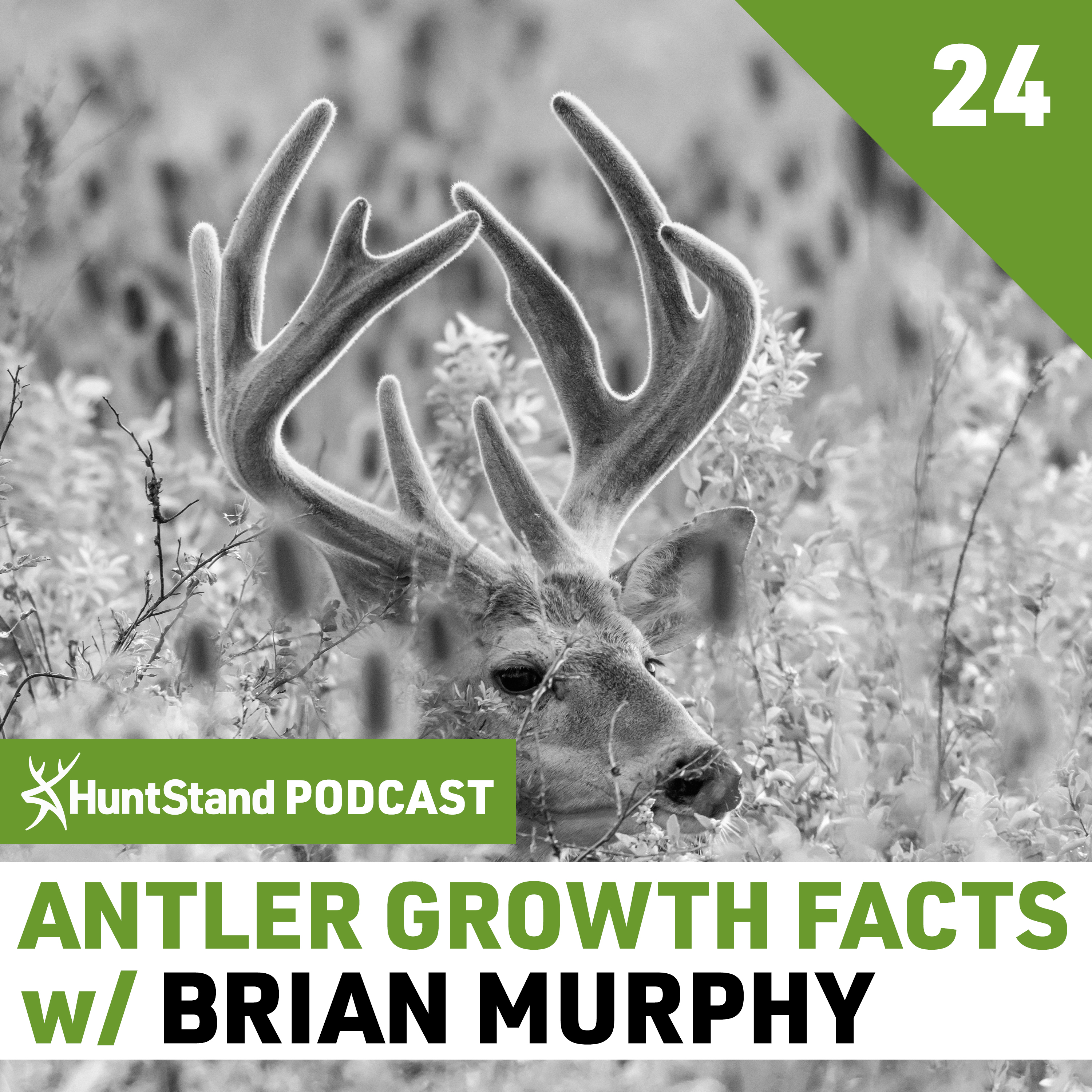 #043 - Brian Murphy - Whitetail Antler Growth FACTS