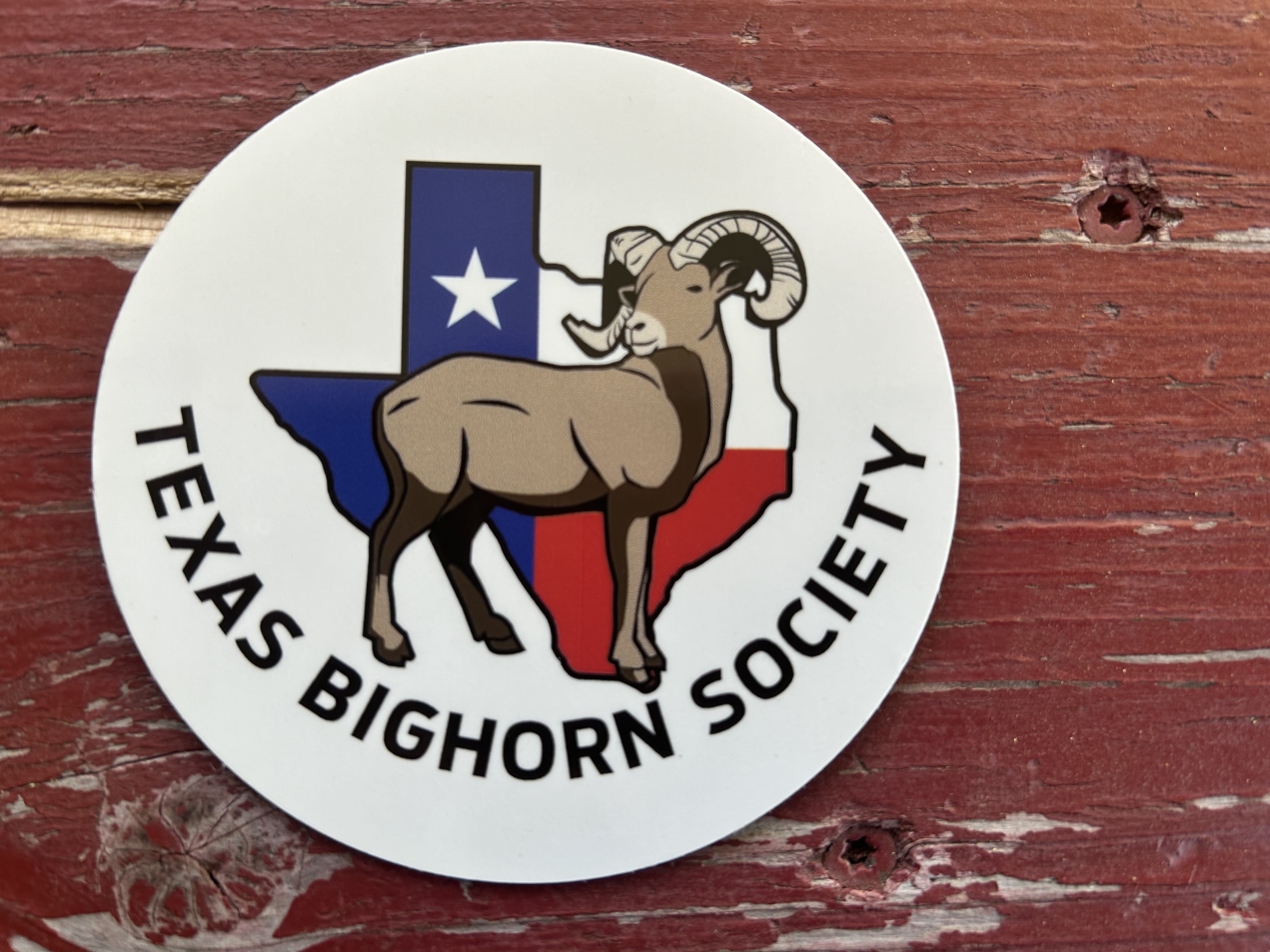 EP 279 Texas Bighorn Society’s President, Sam  Cunningham