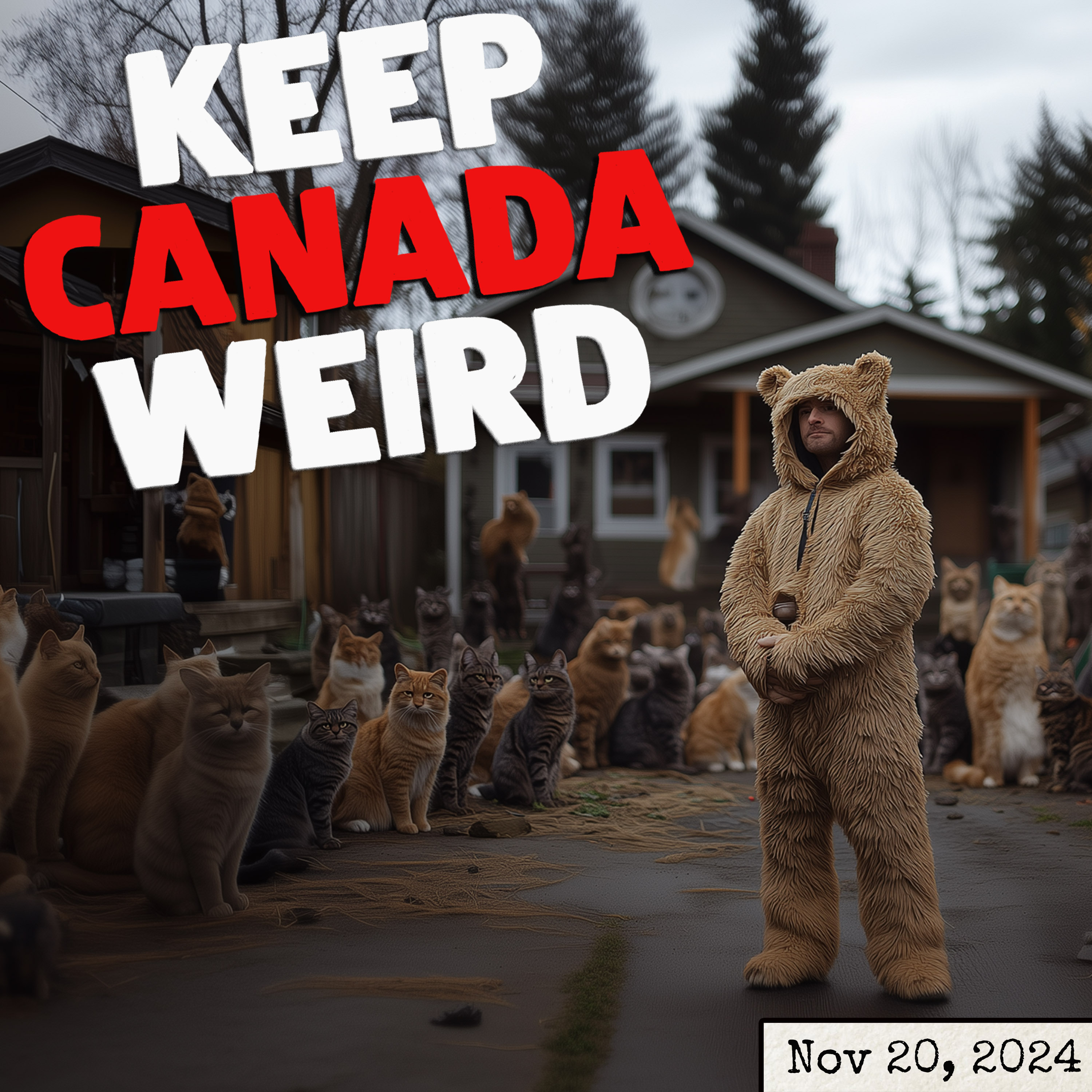 140 - Nov 20 2024 - leg amputation, dog sitting, fentanyl racoons, and a cat infestation episode artwork