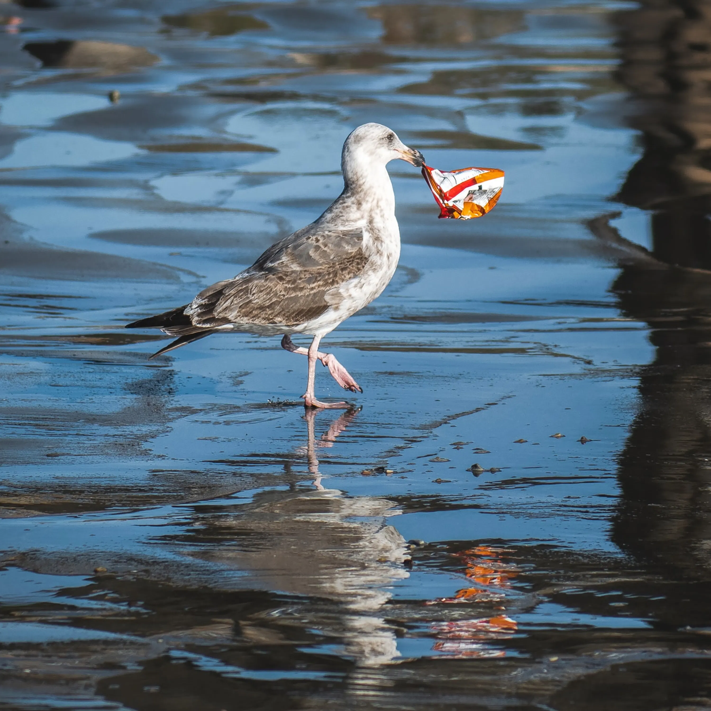 Qu'est-ce qu'une plage écolo ?