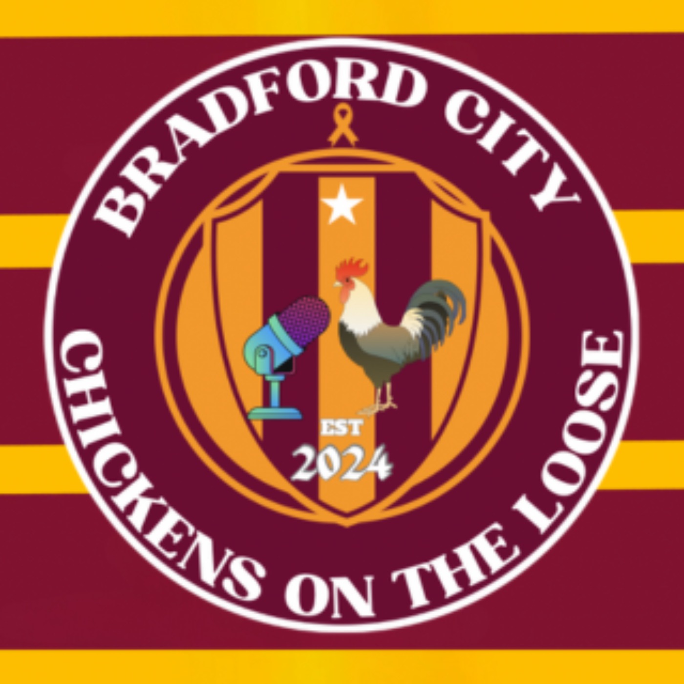 Ep 17 ) What is going on at Bradford city part 2 #bcafc episode artwork