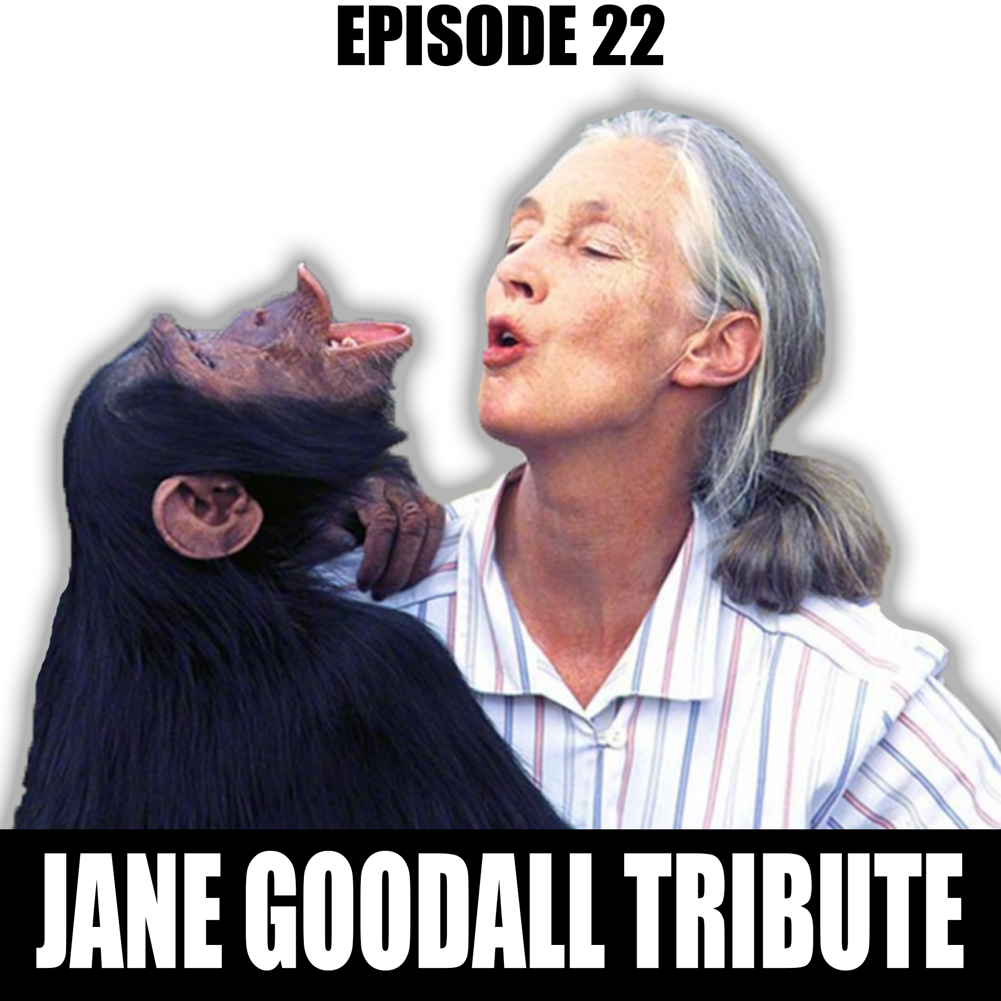 Dr. Jane Goodall Tribute Episode