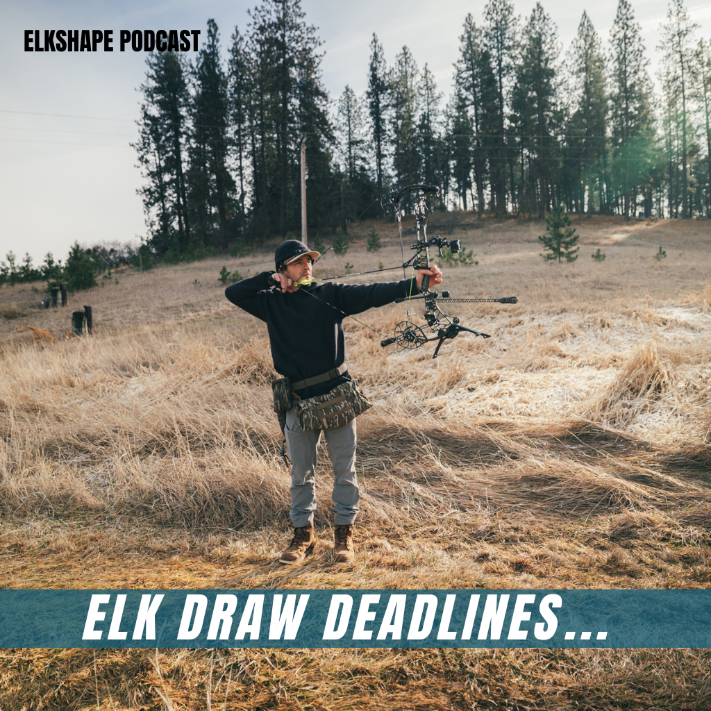 ELK DRAW DEADLINES & WOULD BE INFLUENCERS