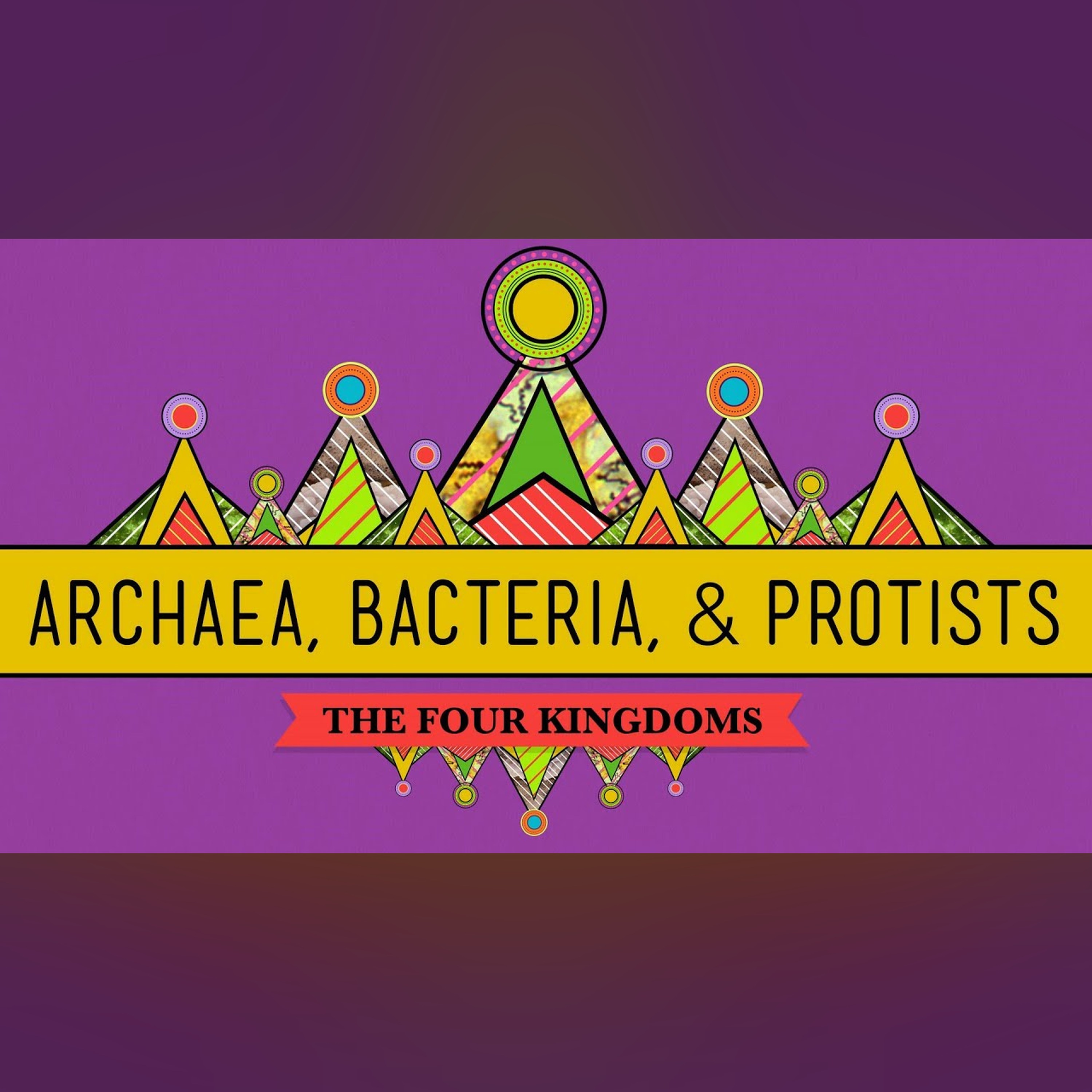 Old and Odd: Archaea, Bacteria and Protists - CrashCourse Biology #35