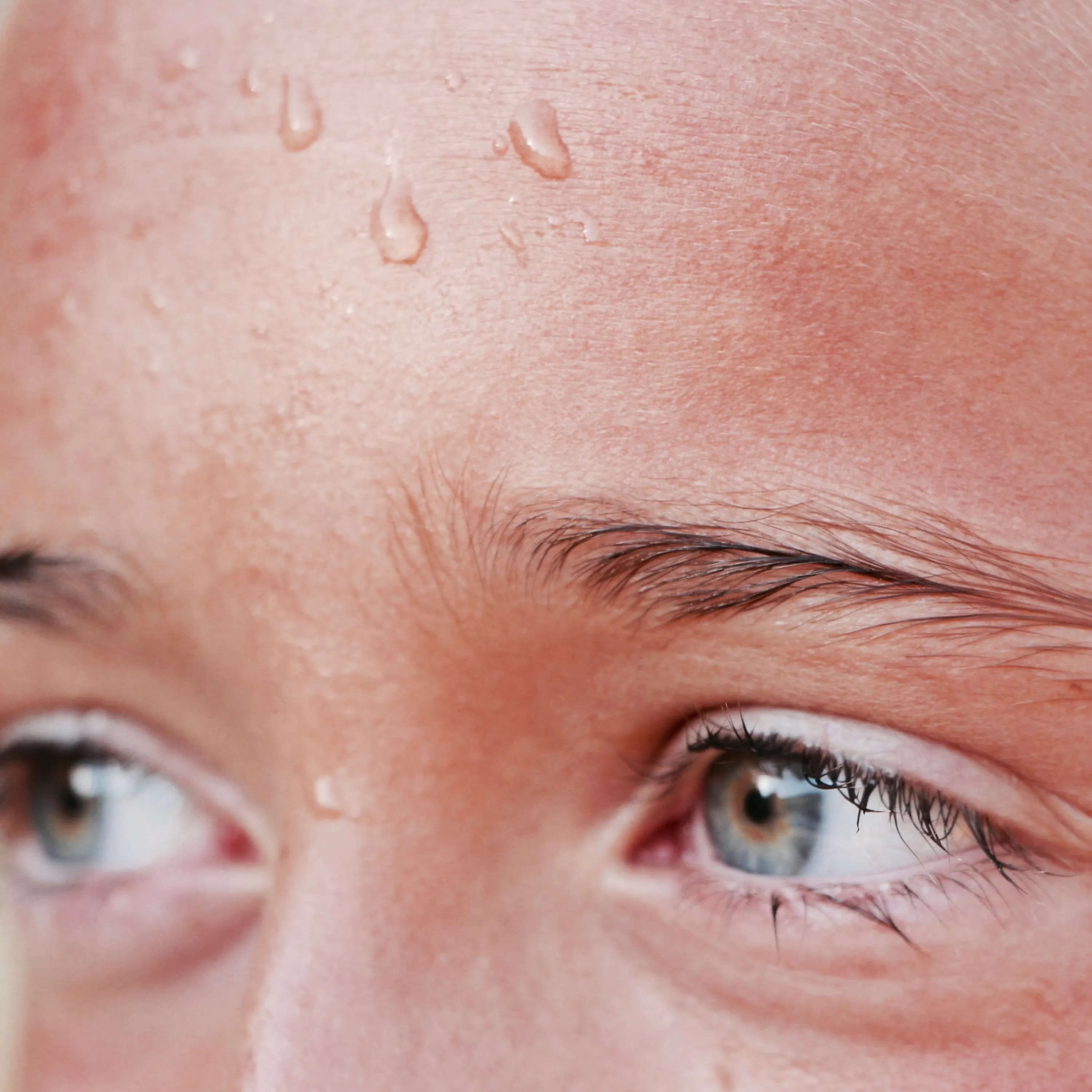 Qu'est-ce qu'une canicule ?