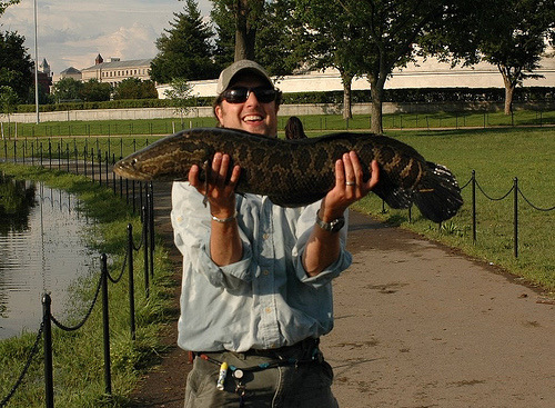 Fly Fishing Consultant Podcast