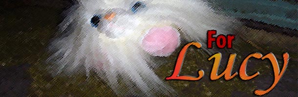 ‘For Lucy’