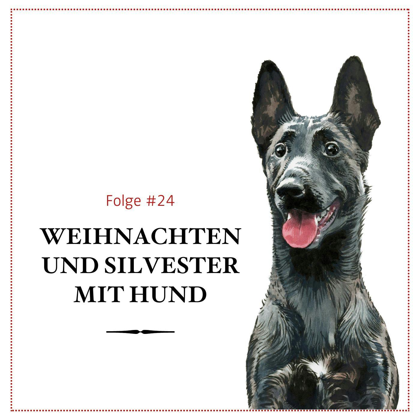 Weihnachten und Silvester mit Hund – #24 Weihnachten und Silvester mit Hund – #24