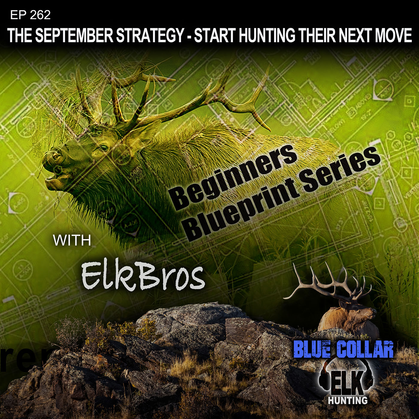 The September Elk Strategy Playbook - Start Hunting Their Next Move
