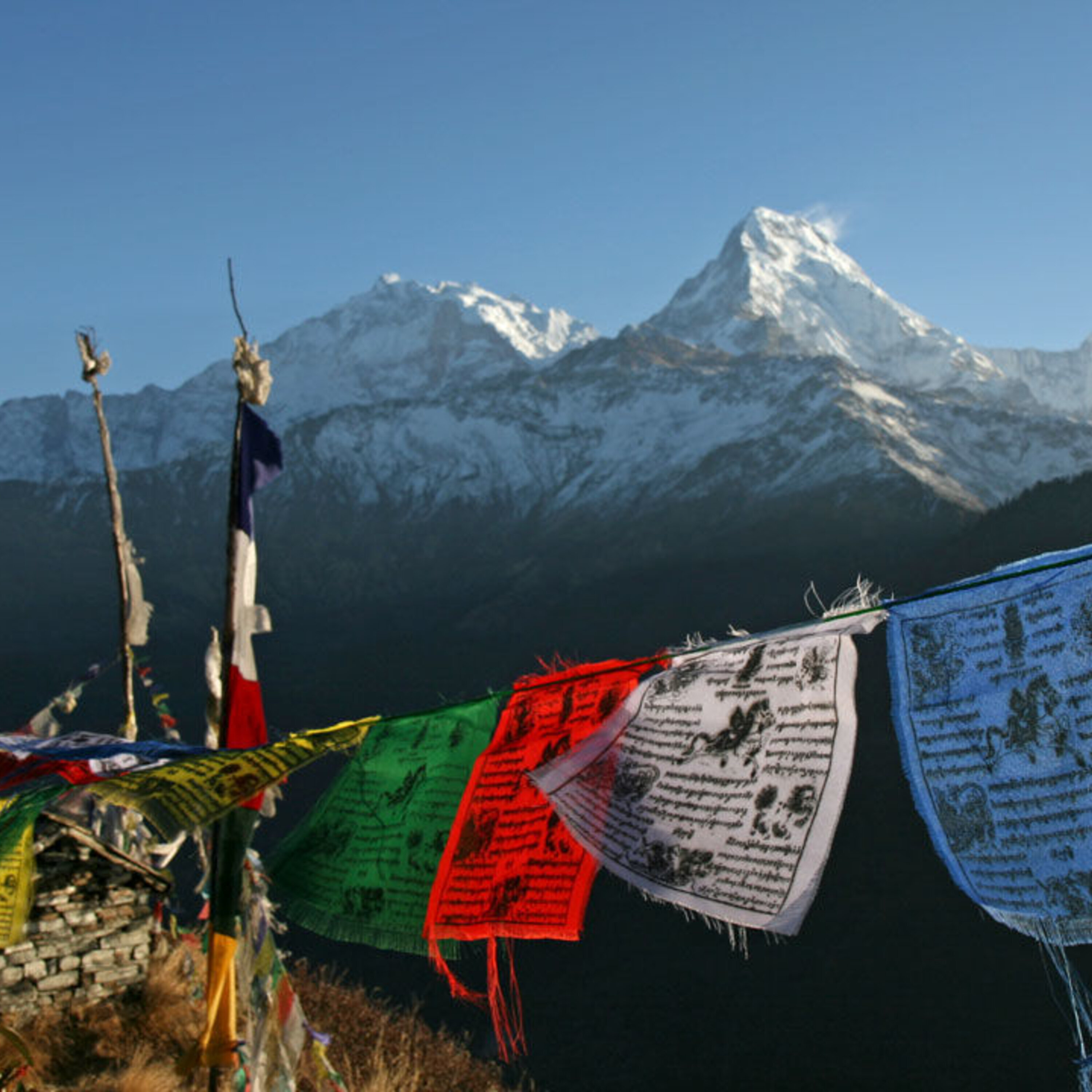 Podcast: Giant virus genetics, human high-altitude adaptations, and quantifying the impact of government-funded science