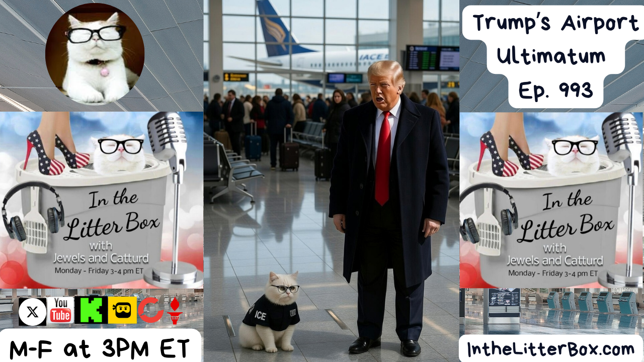 Trump's Airport Ultimatum | In the Litter Box w/ Jewels Jones & Catturd – Ep. 993 – 3/23/2026