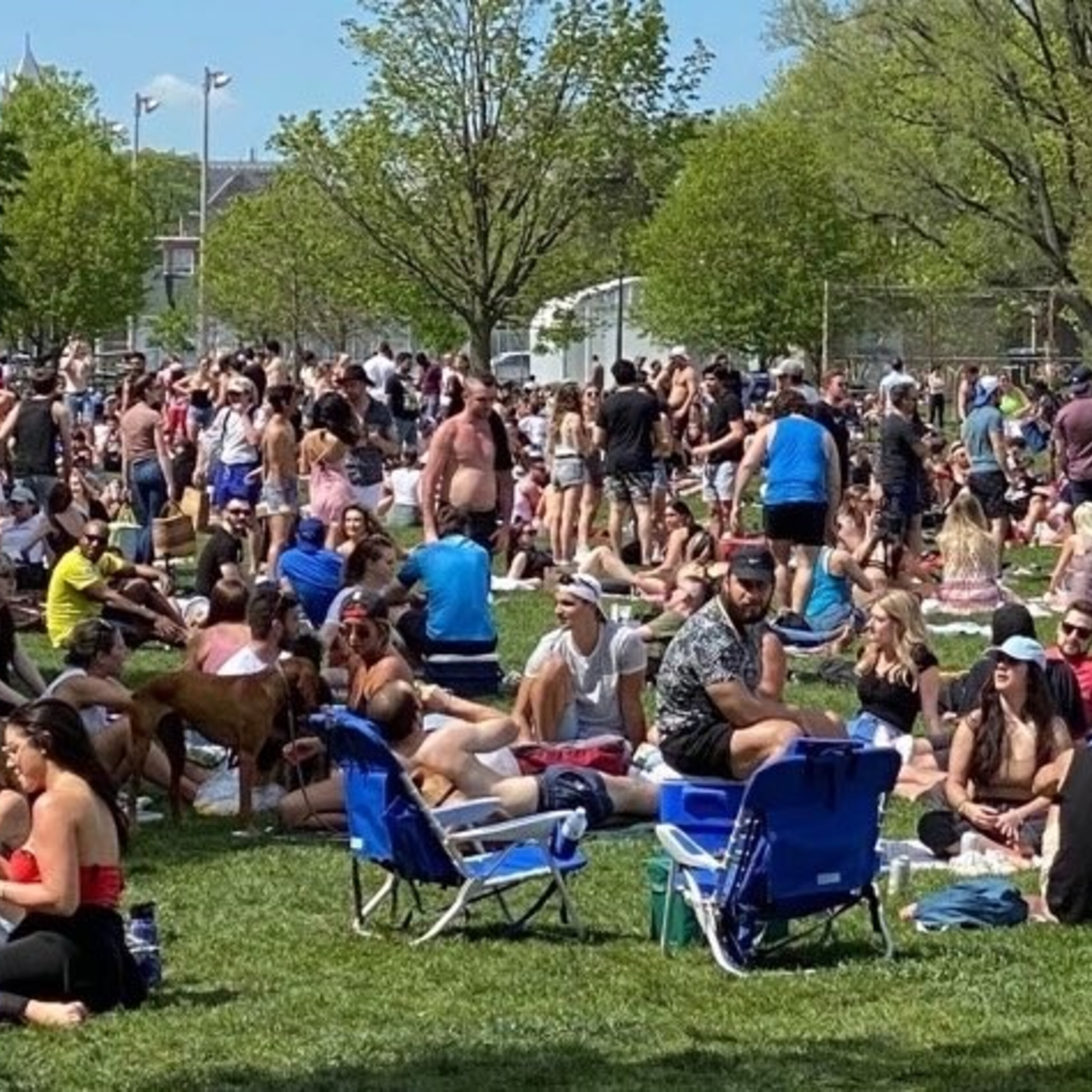 Don't Freak Out About Trinity Bellwoods Park This Weekend And Missed Connections episode artwork