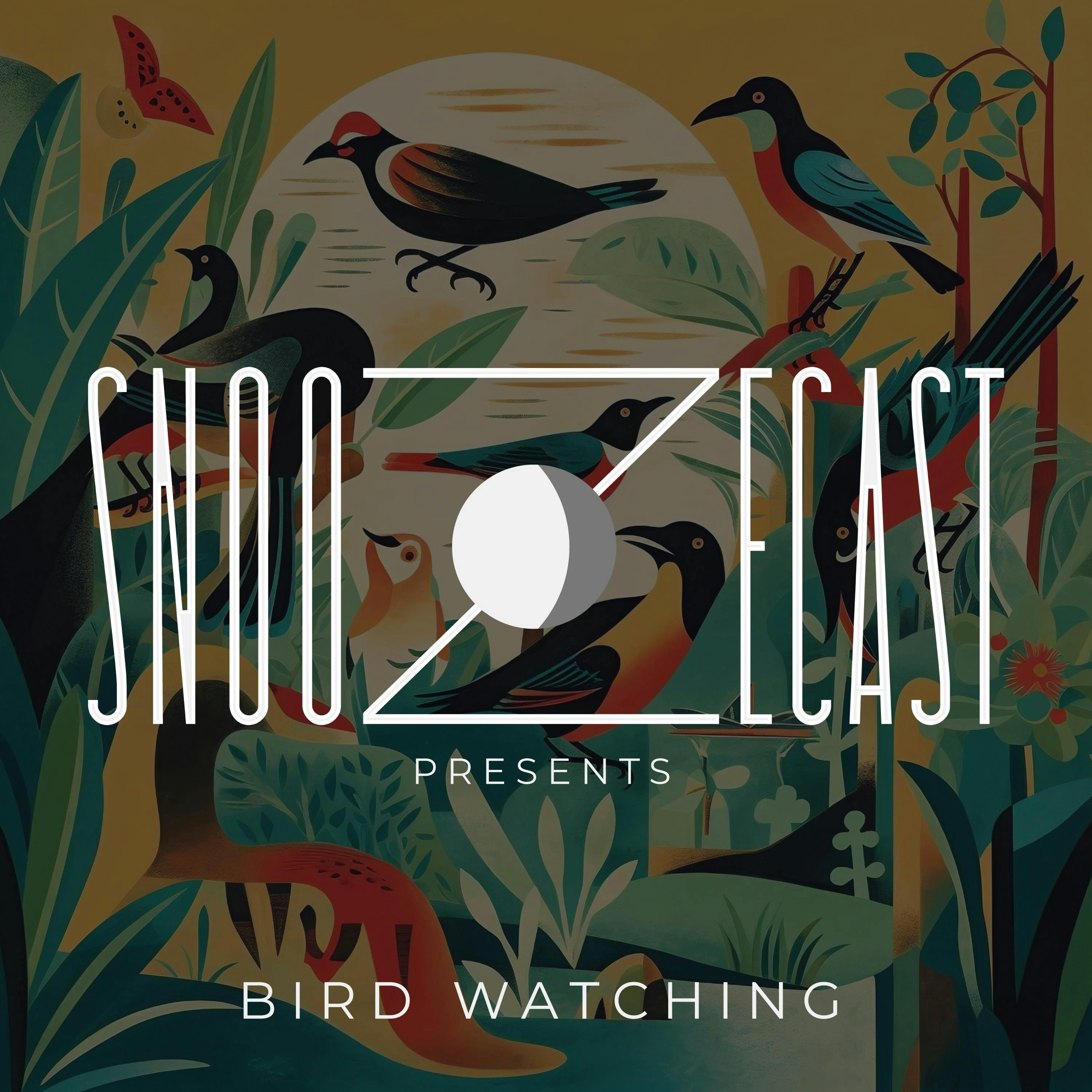 Snoozecast+ Birdwatching podcast tile