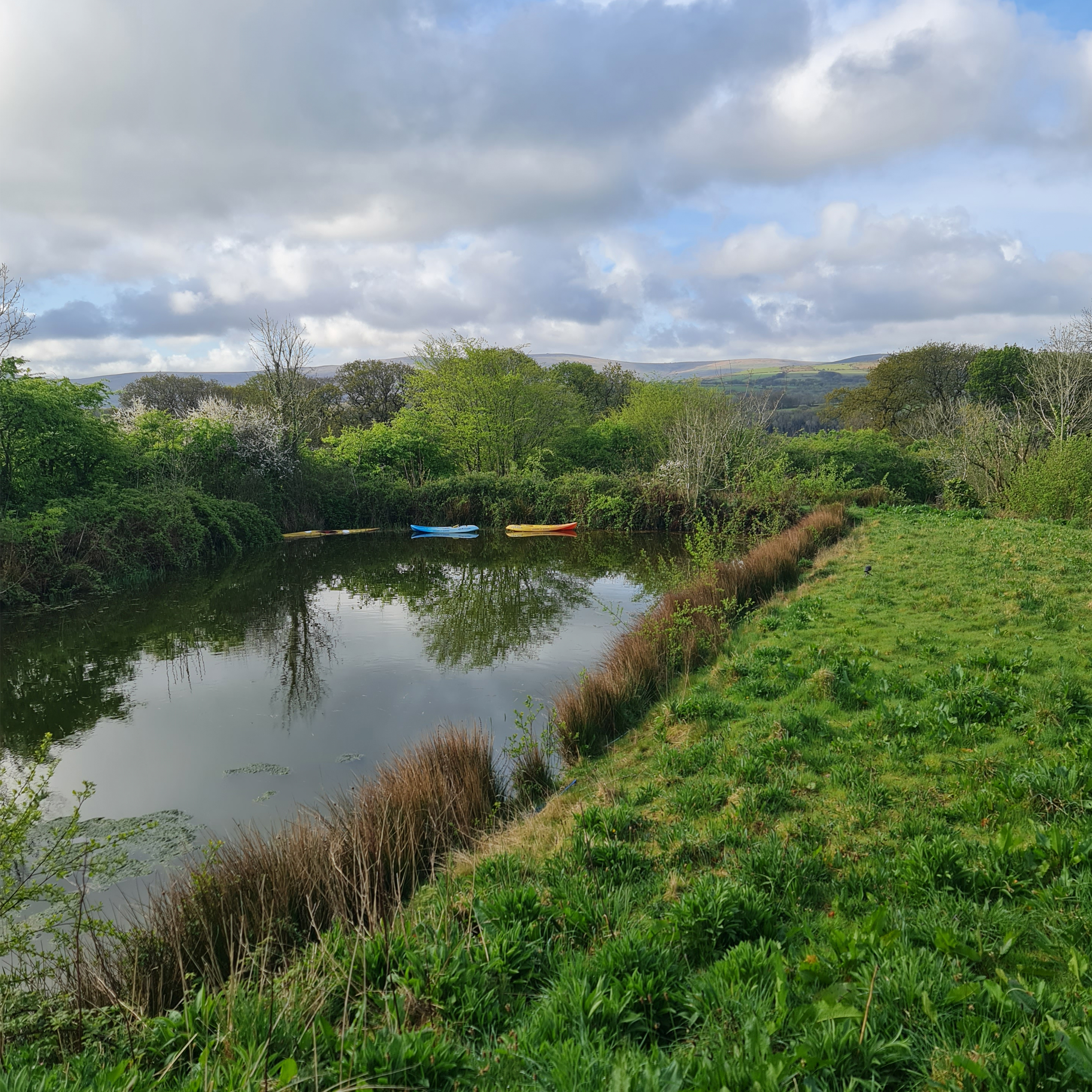 Sound Escape 221. Be charmed by chiffchaffs and blackcaps beside a woodland pool