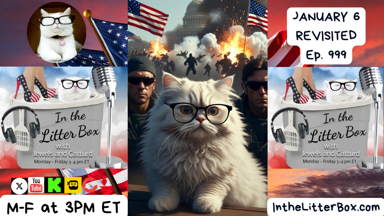 JANUARY 6 REVISITED | In the Litter Box w/ Jewels Jones & Catturd – Ep. 999 3/31/2026