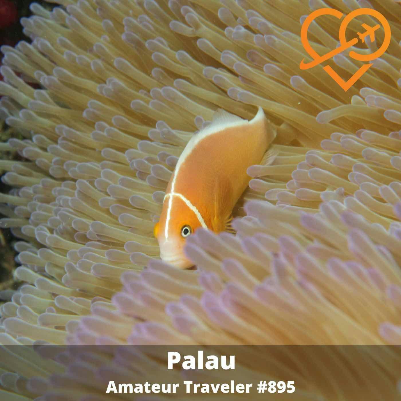 AT#895 - Travel to Palau