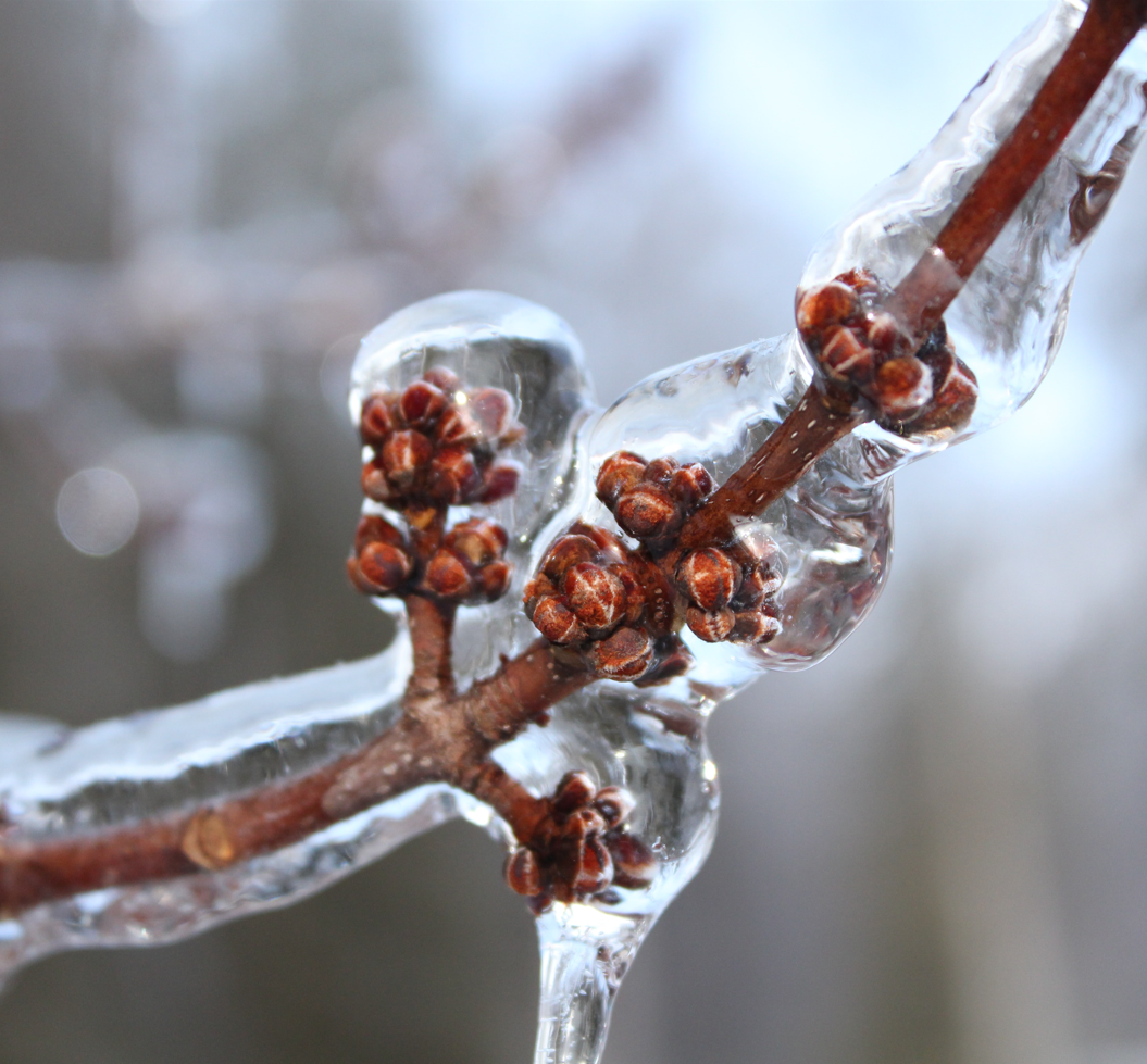 Icy Rain: 3-Hour Tranquil Rainfall Sounds for Blissful Sleepiness