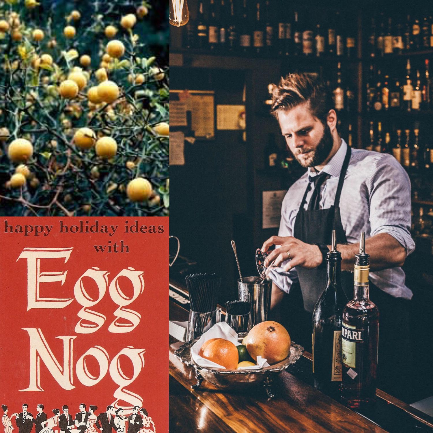 Hard Nog and Hardy Oranges: A History of Virginian Cocktails with Micah LeMon