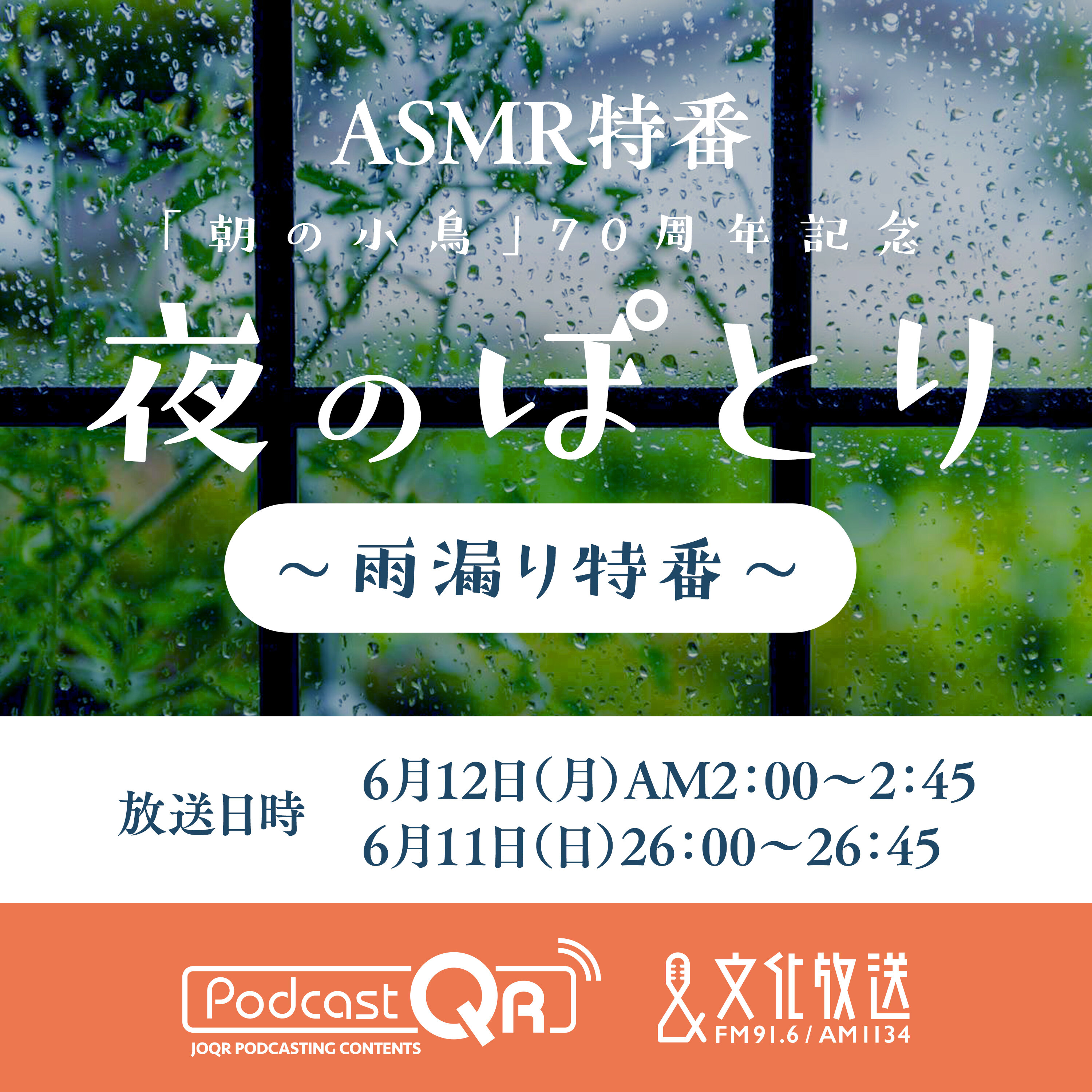 夜のぽとり～雨漏り特番～