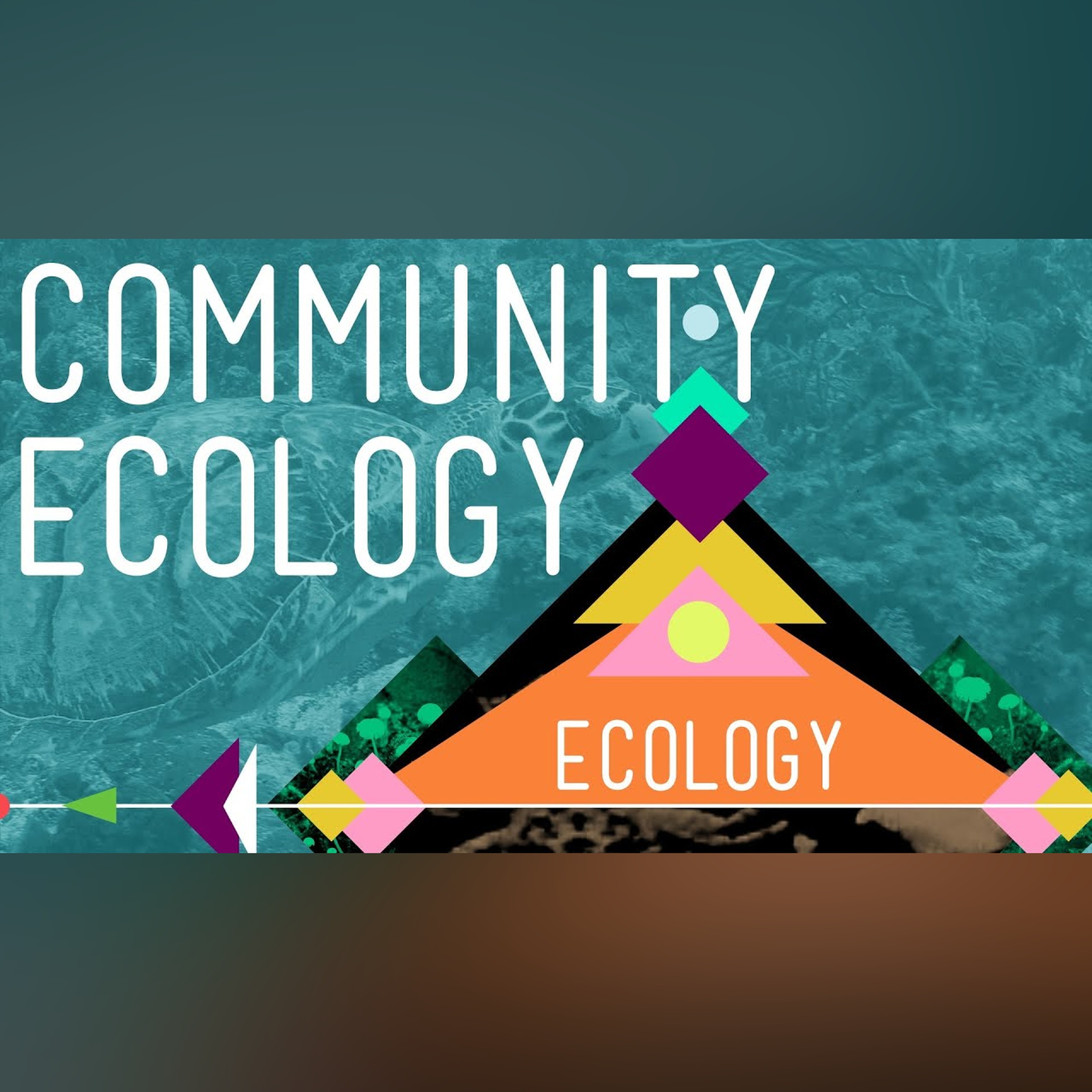 Community Ecology: Feel the Love - Crash Course Ecology #4