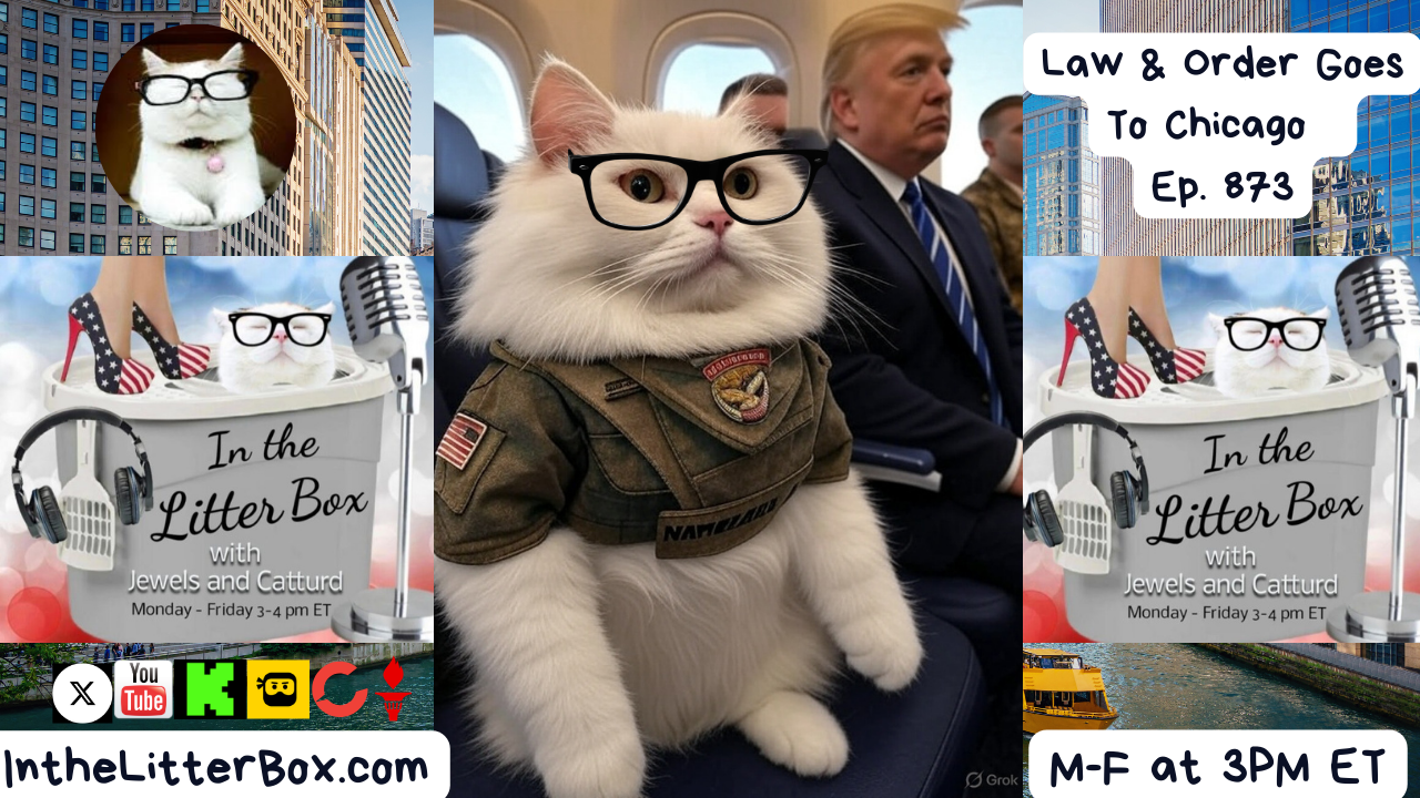 Law & Order Goes to Chicago | In the Litter Box w/ Jewels & Catturd – Ep. 873 – 9/3/2025