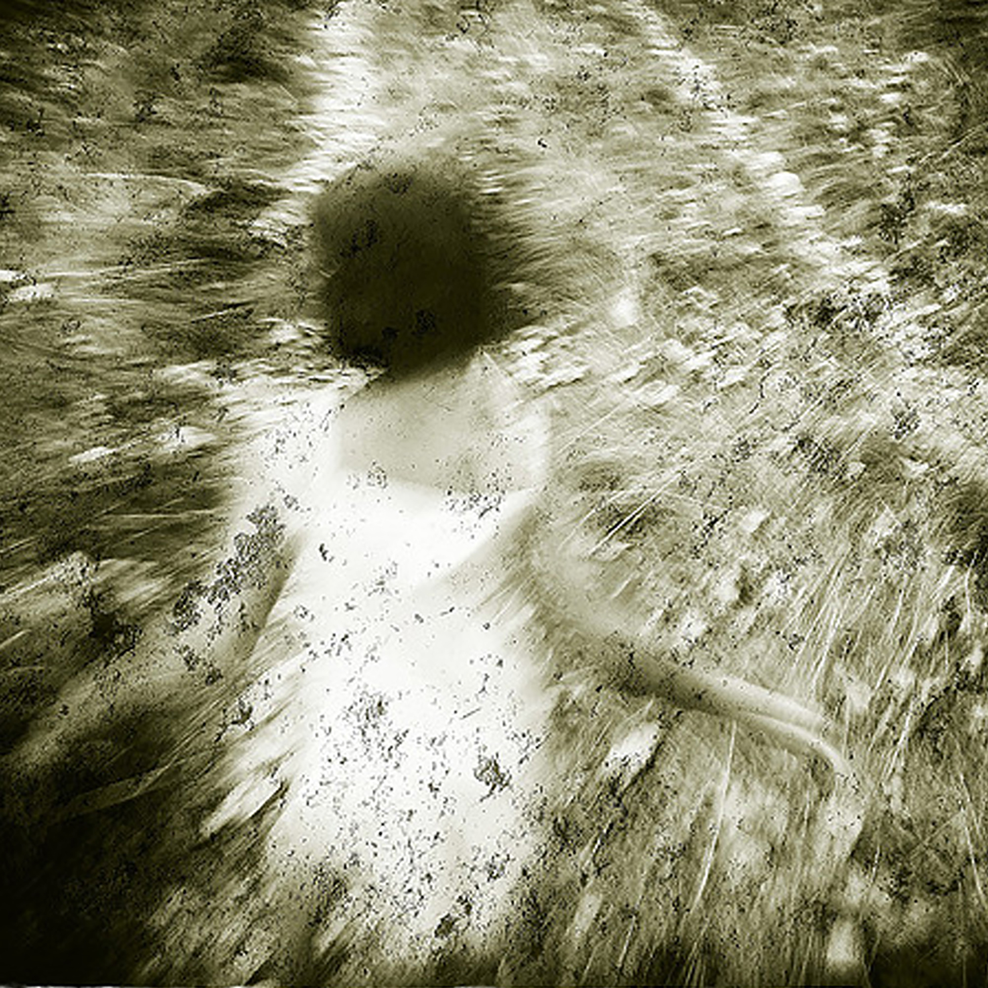 Thumbnail for "Can You Help Me Find My Mom?".