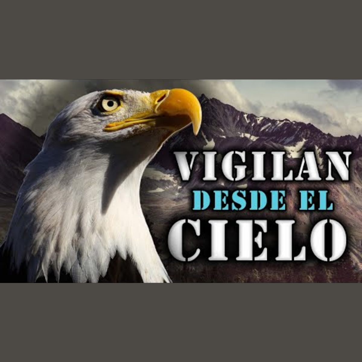 Animalogic En Español