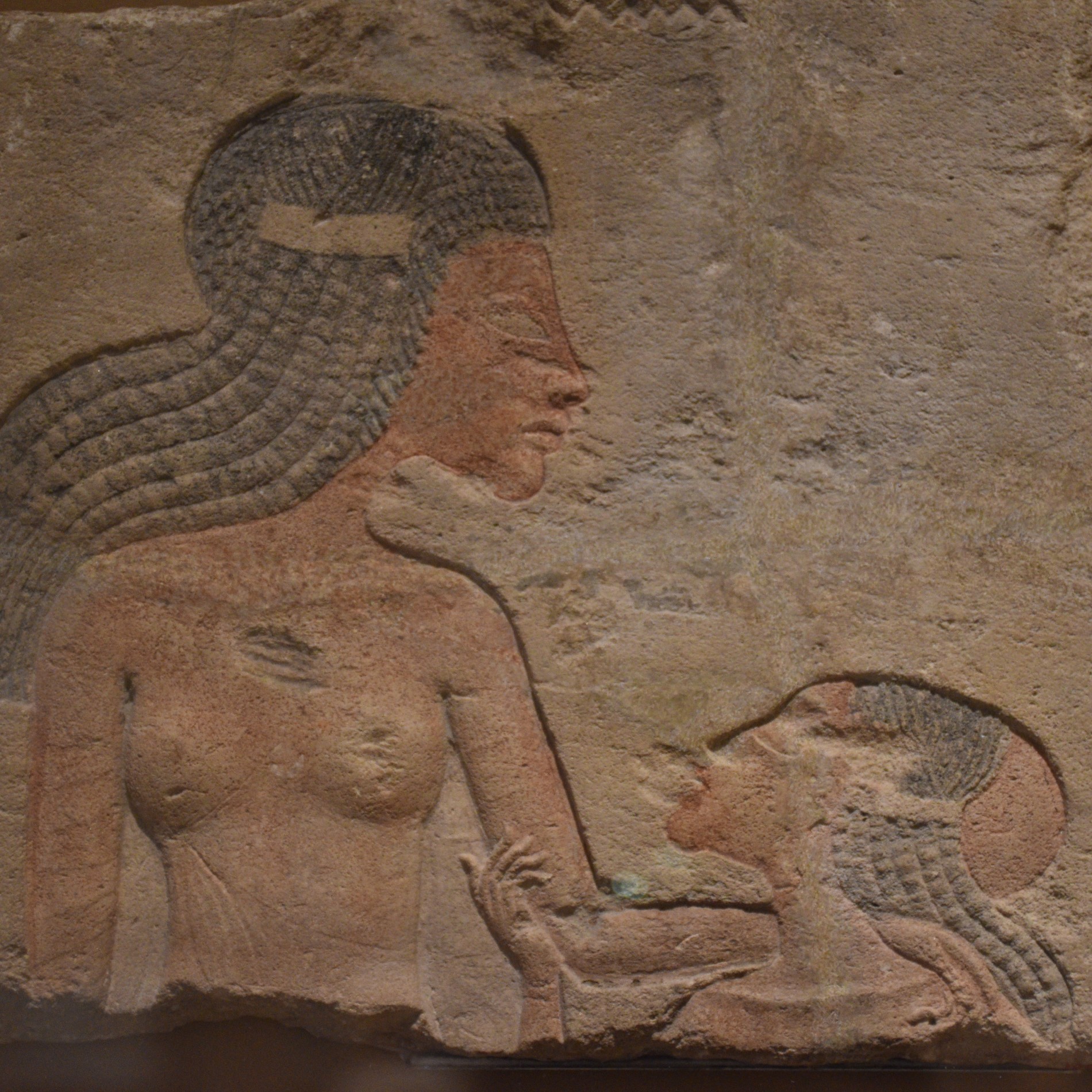 Princesses of Amarna, Wives of Gods with Courtney Marx and ARCE