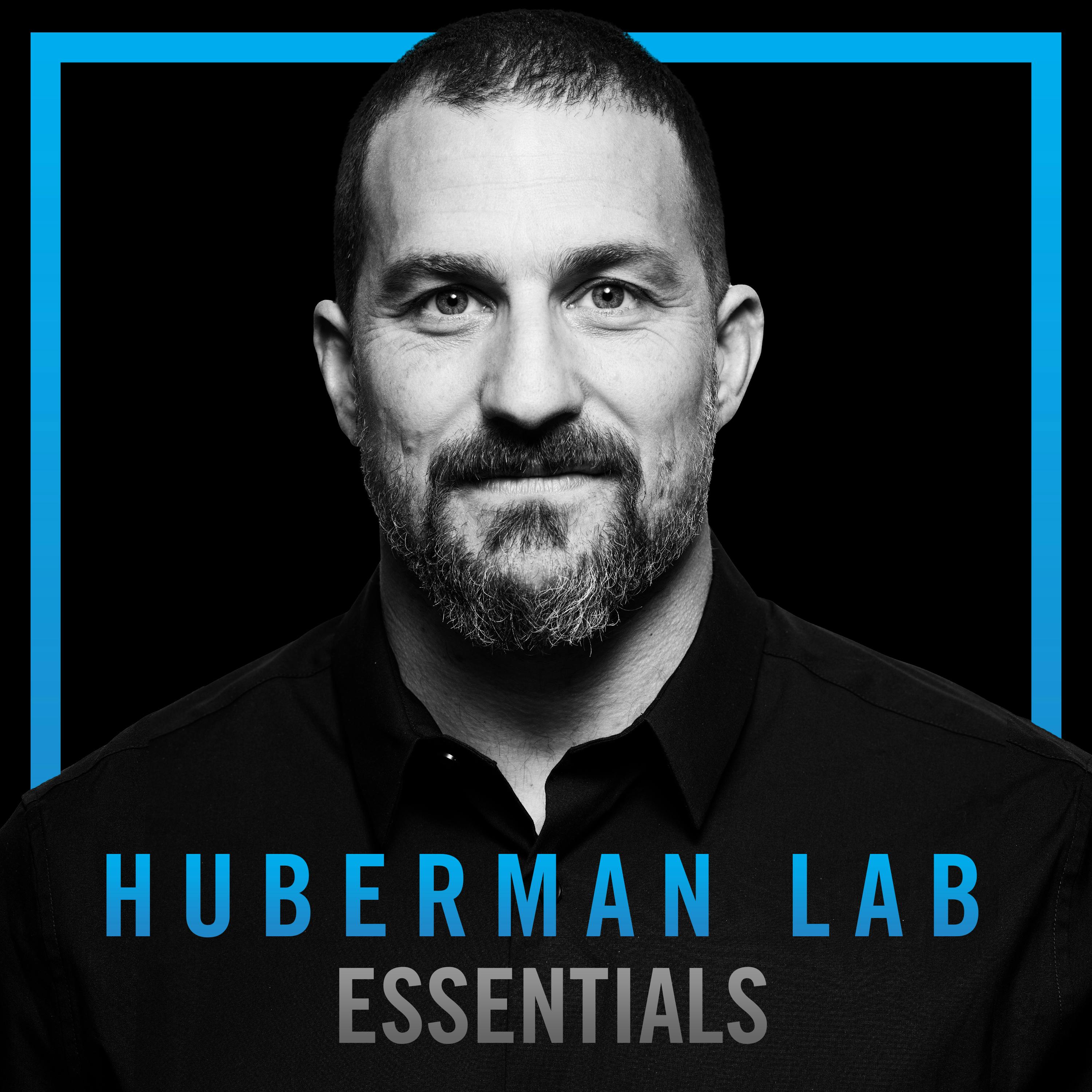 Essentials: Science of Stress, Testosterone, Aggression & Motivation | Dr. Robert Sapolsky