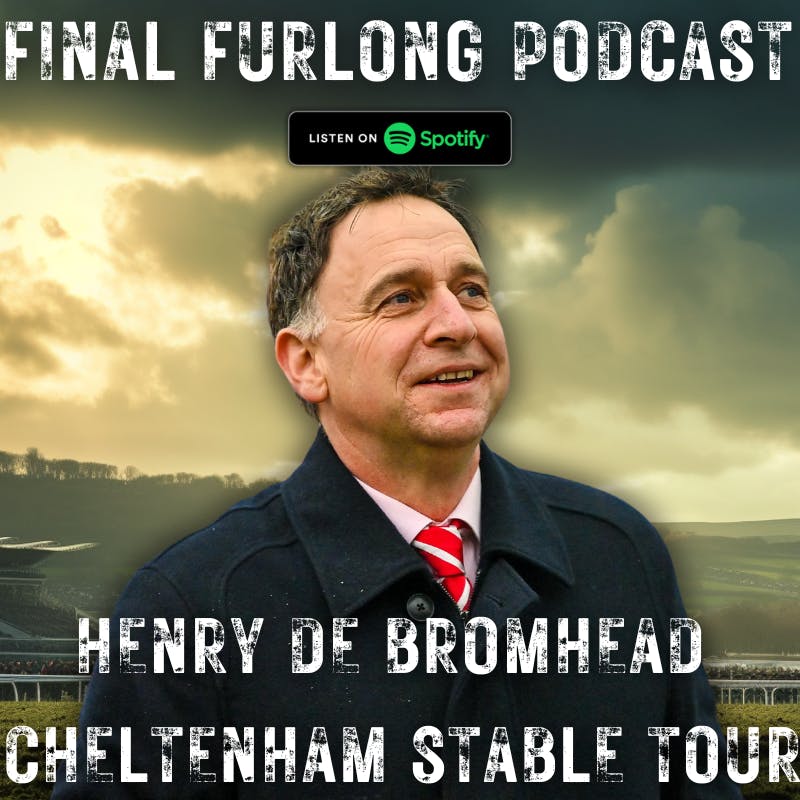 Exclusive: Henry de Bromhead Cheltenham Stable Tour | Envoi Allen | Slade Steel | Monty's Star