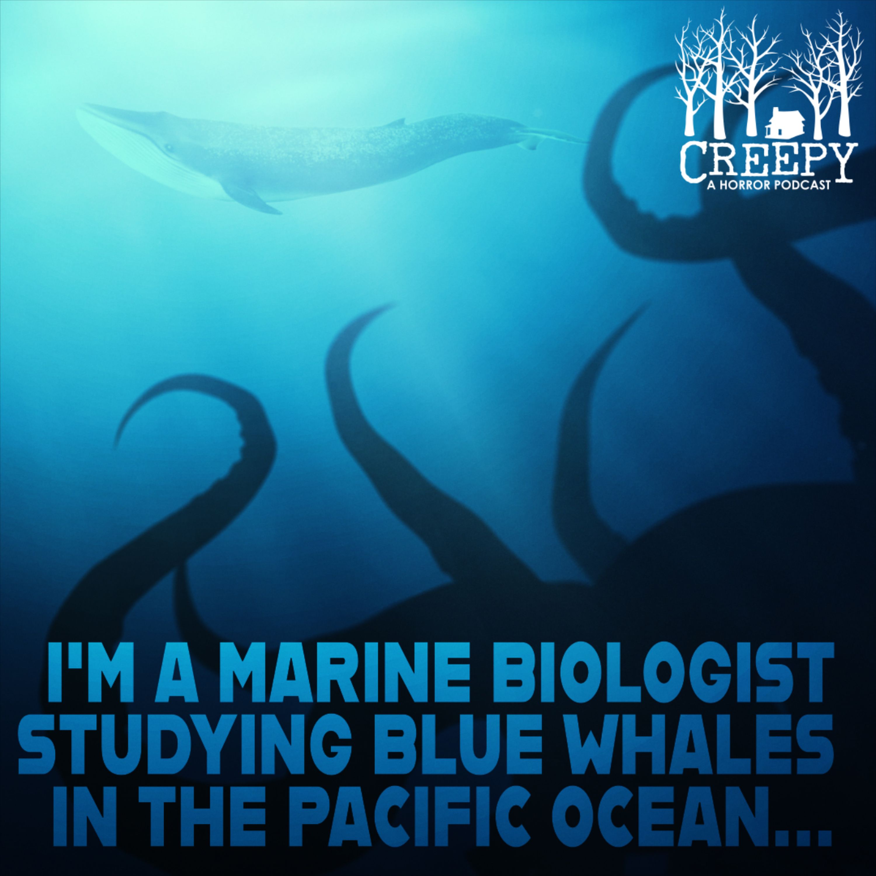I'm a Marine Biologist Studying Blue Whales in the Pacific Ocean