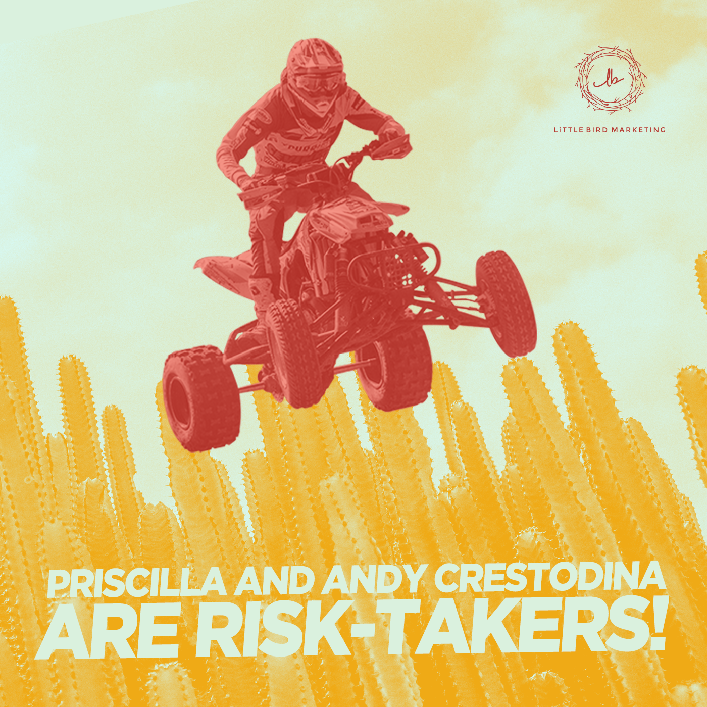 Ponderings from the Perch