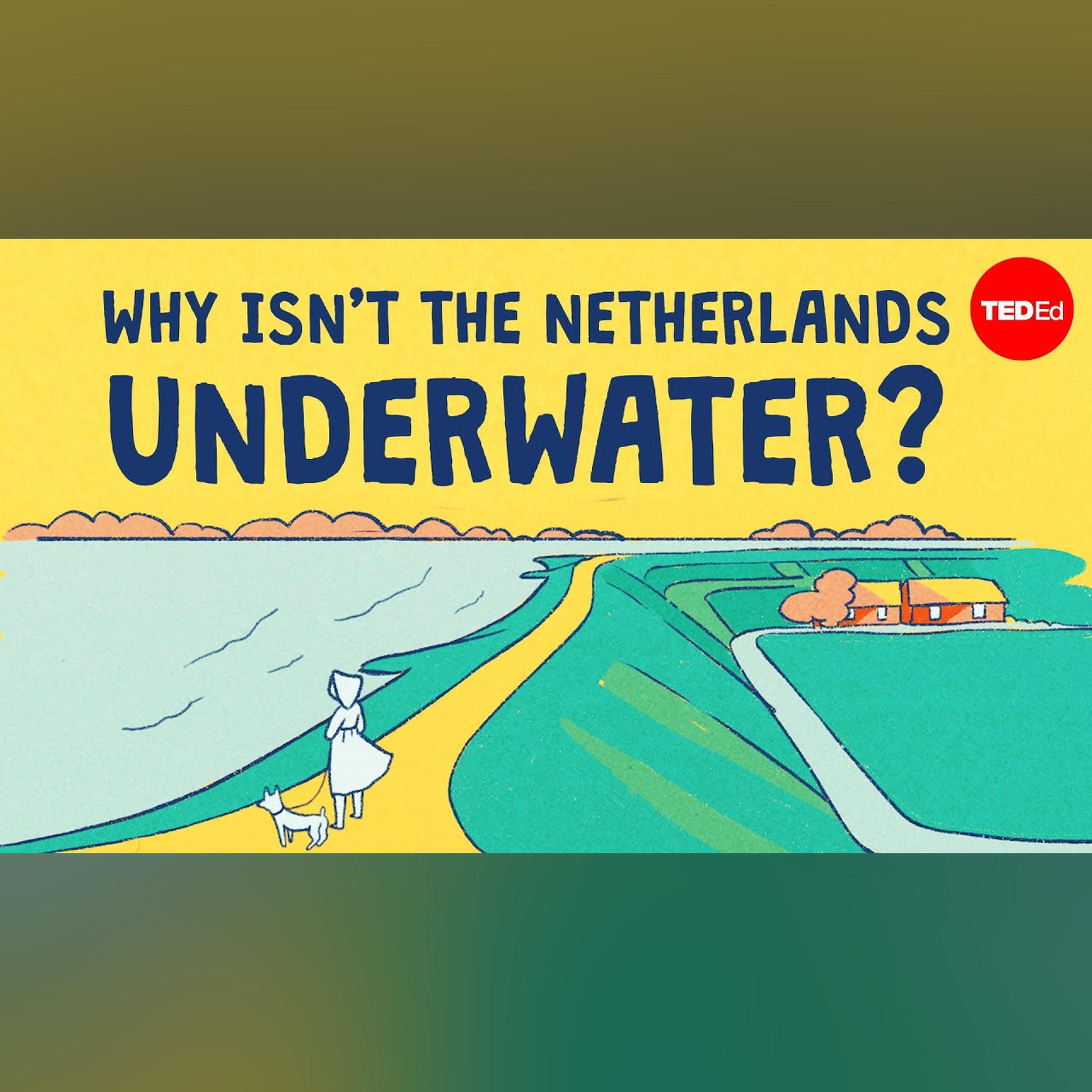 Why isn’t the Netherlands underwater? - Stefan Al episode artwork